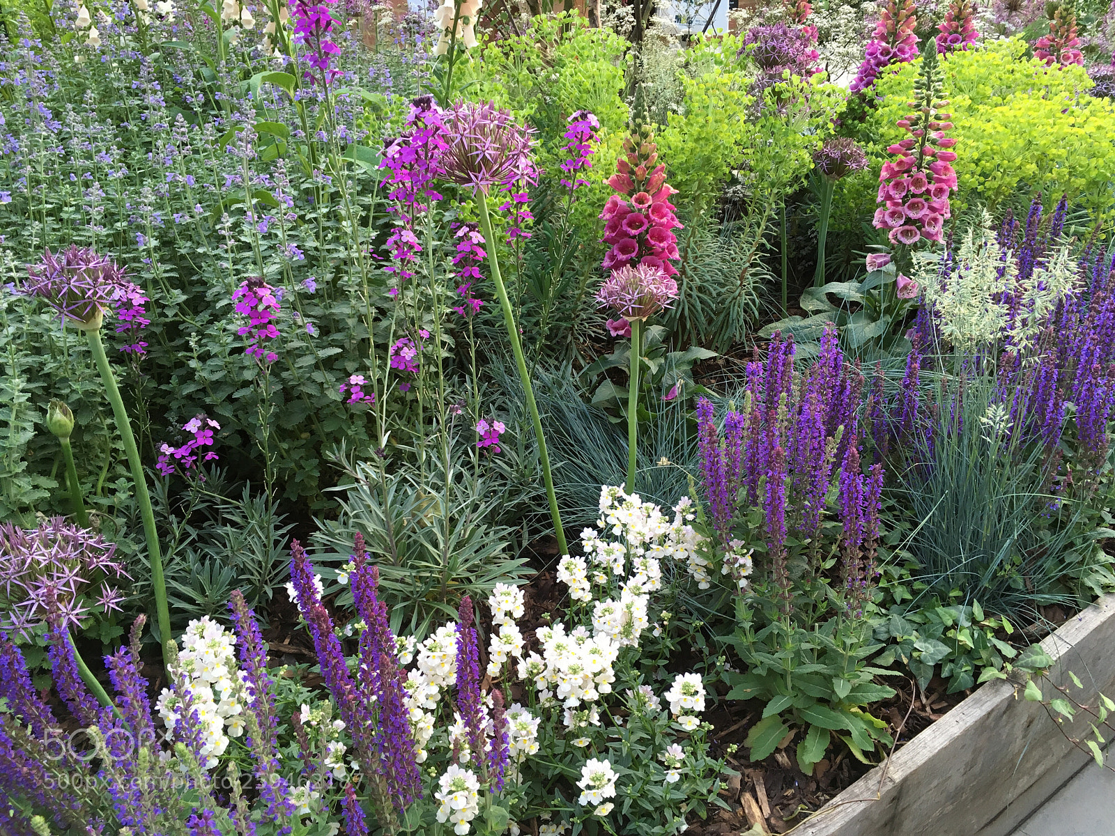 Apple iPhone SE sample photo. Flowers from london photography