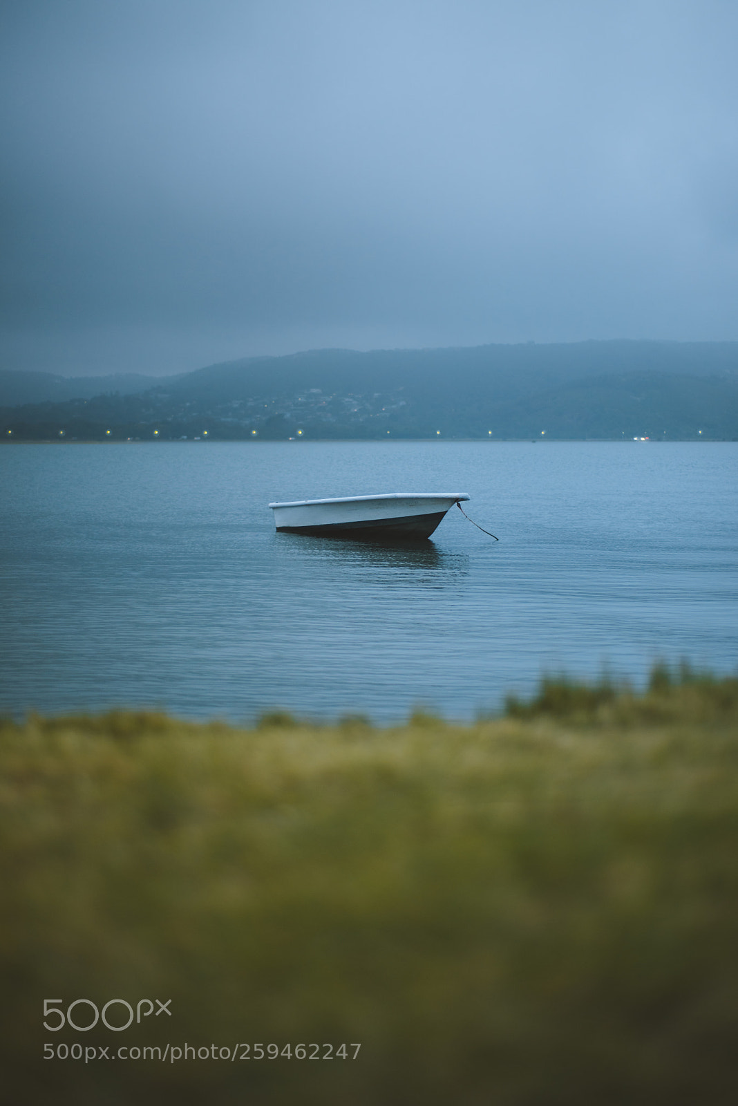 Nikon D810 sample photo. Waiting photography