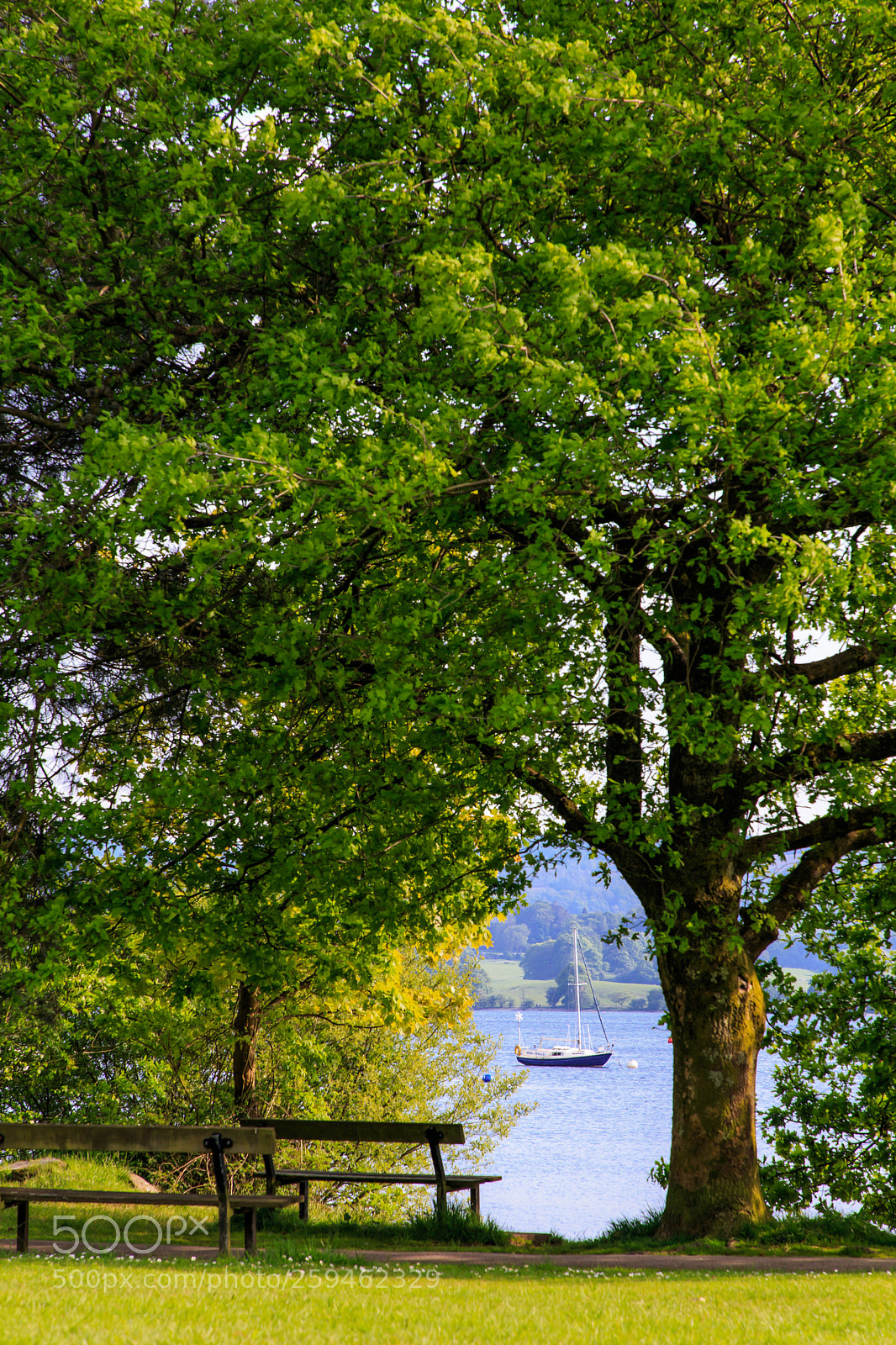 Canon EOS 6D sample photo. Lakeside_lake district uk photography
