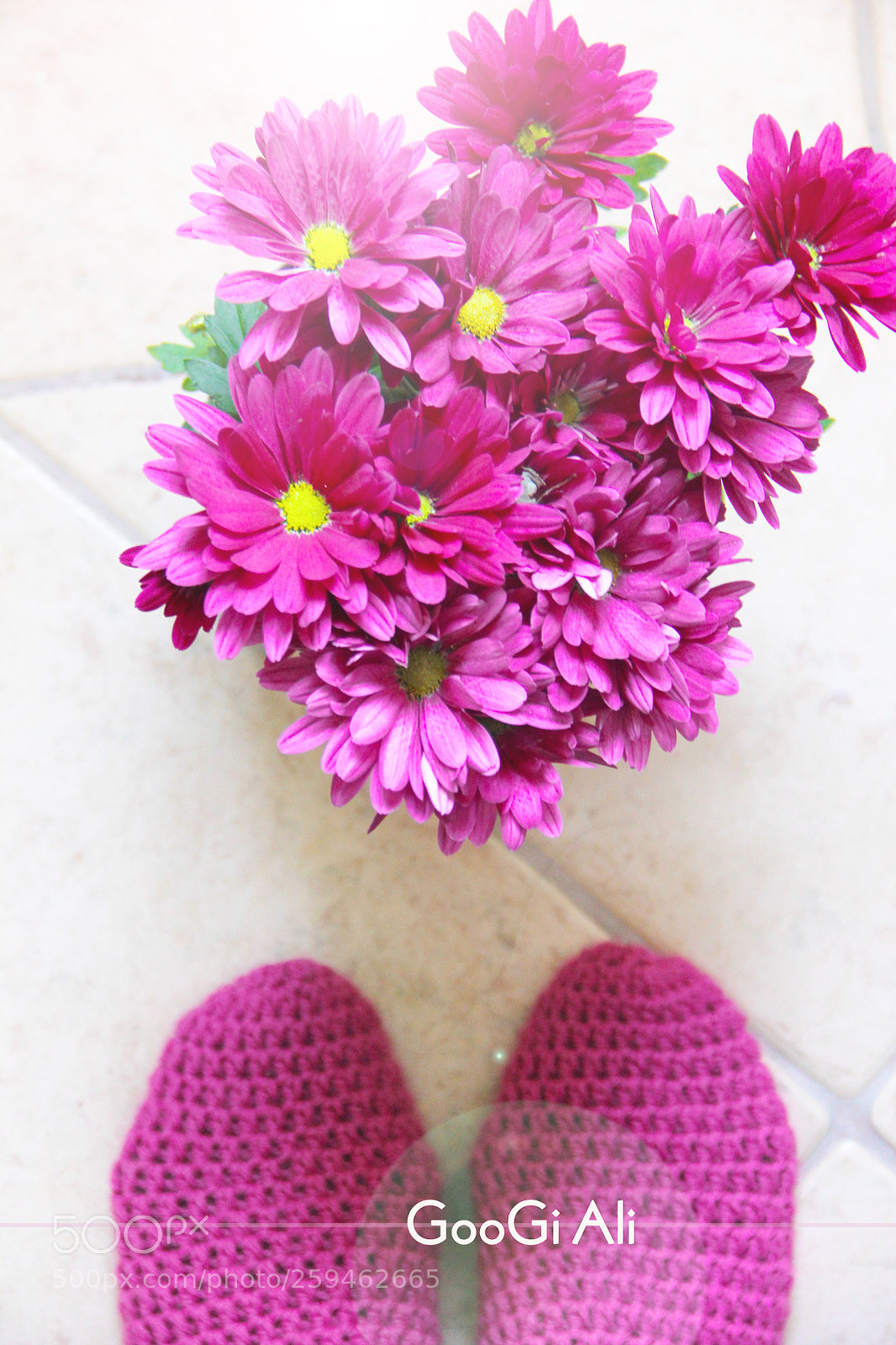 Canon EOS 600D (Rebel EOS T3i / EOS Kiss X5) sample photo. Volite flowers photography