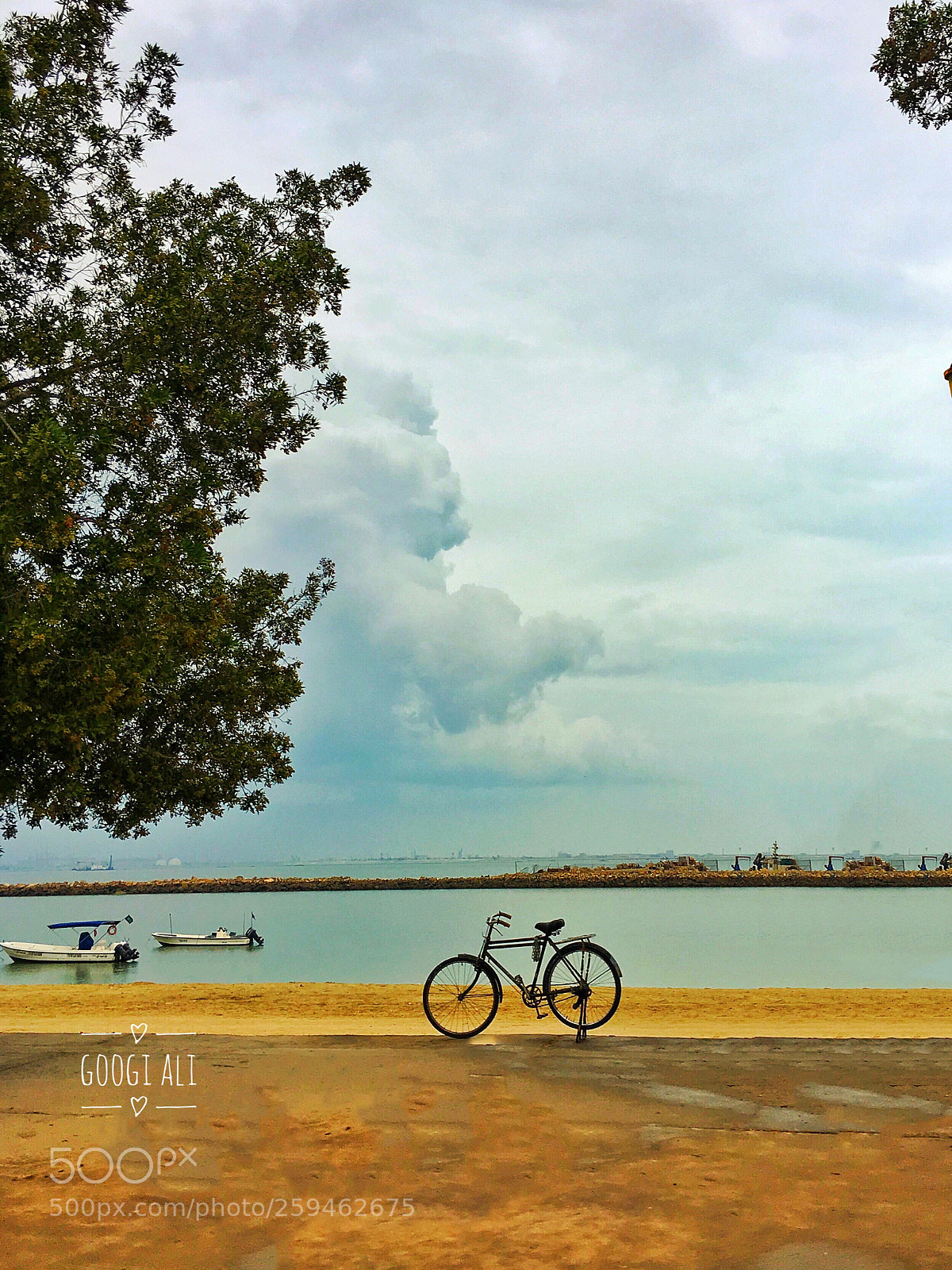 Apple iPhone 6s sample photo. :) photography