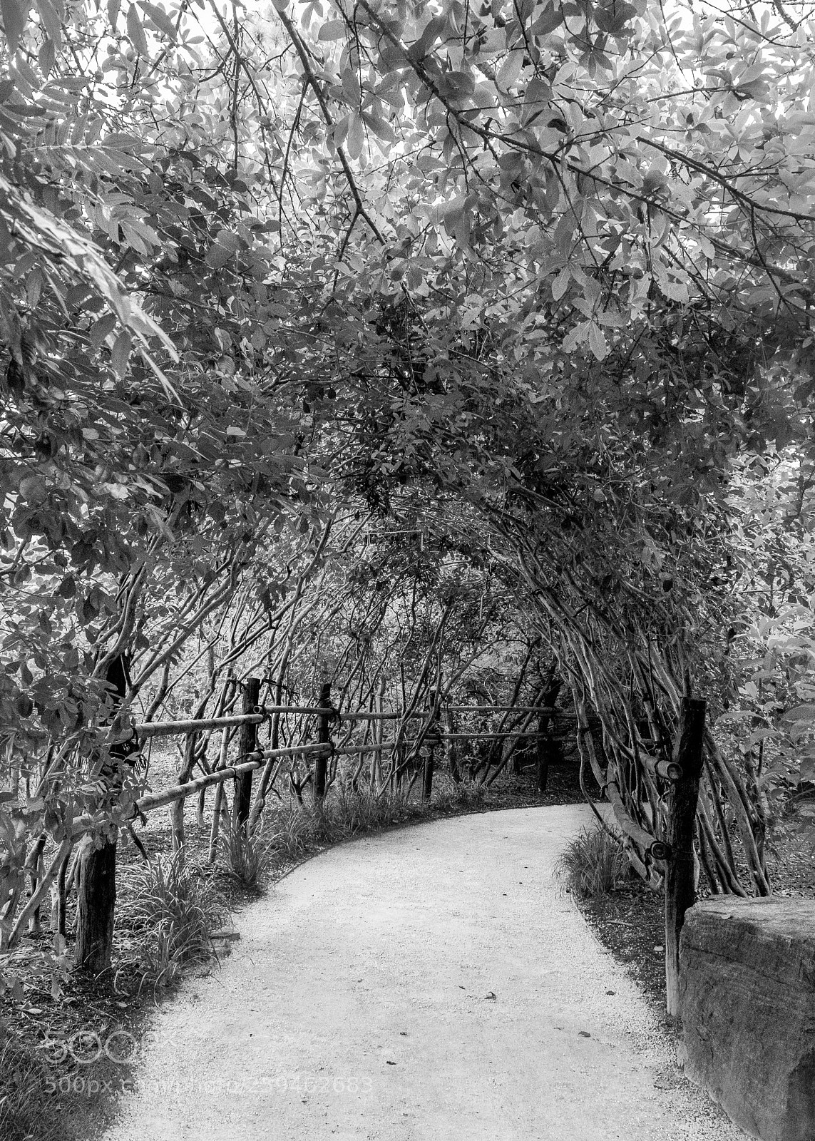 Nikon D5300 sample photo. Trail photography