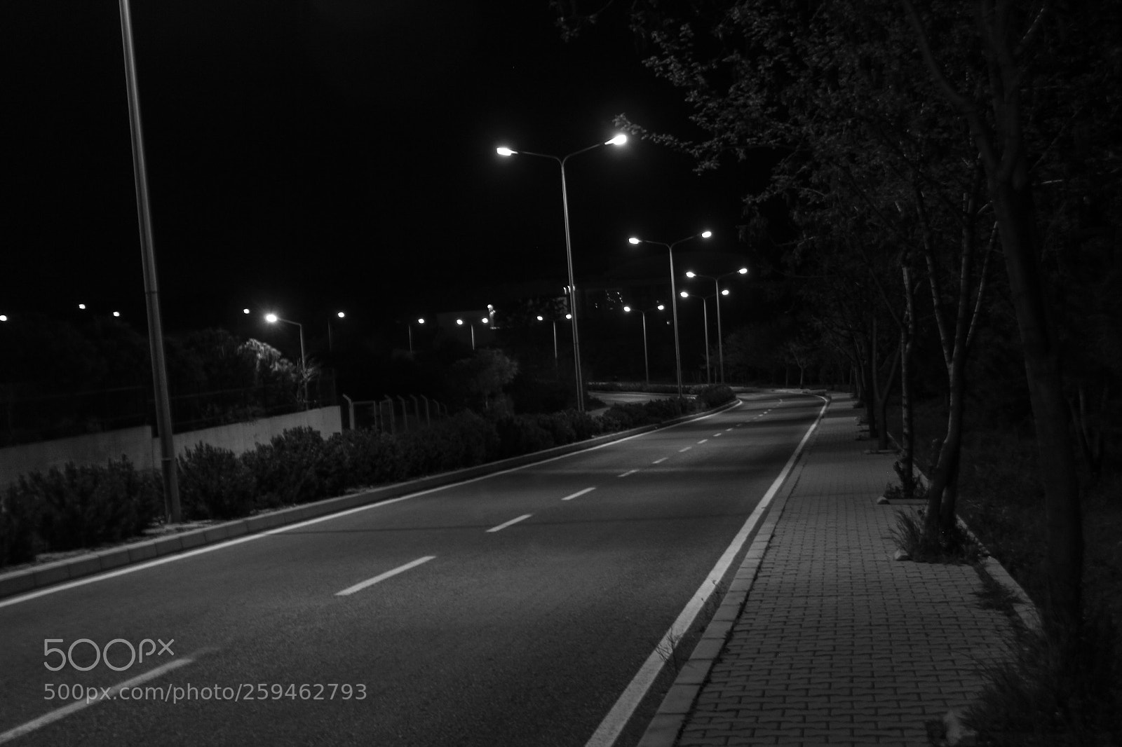Canon EOS 60D sample photo. Road ii photography