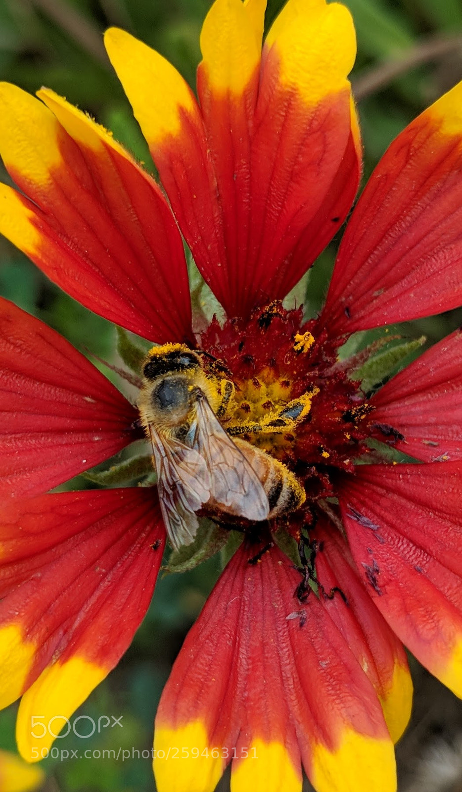 Google Pixel 2 XL sample photo. Untitled photography