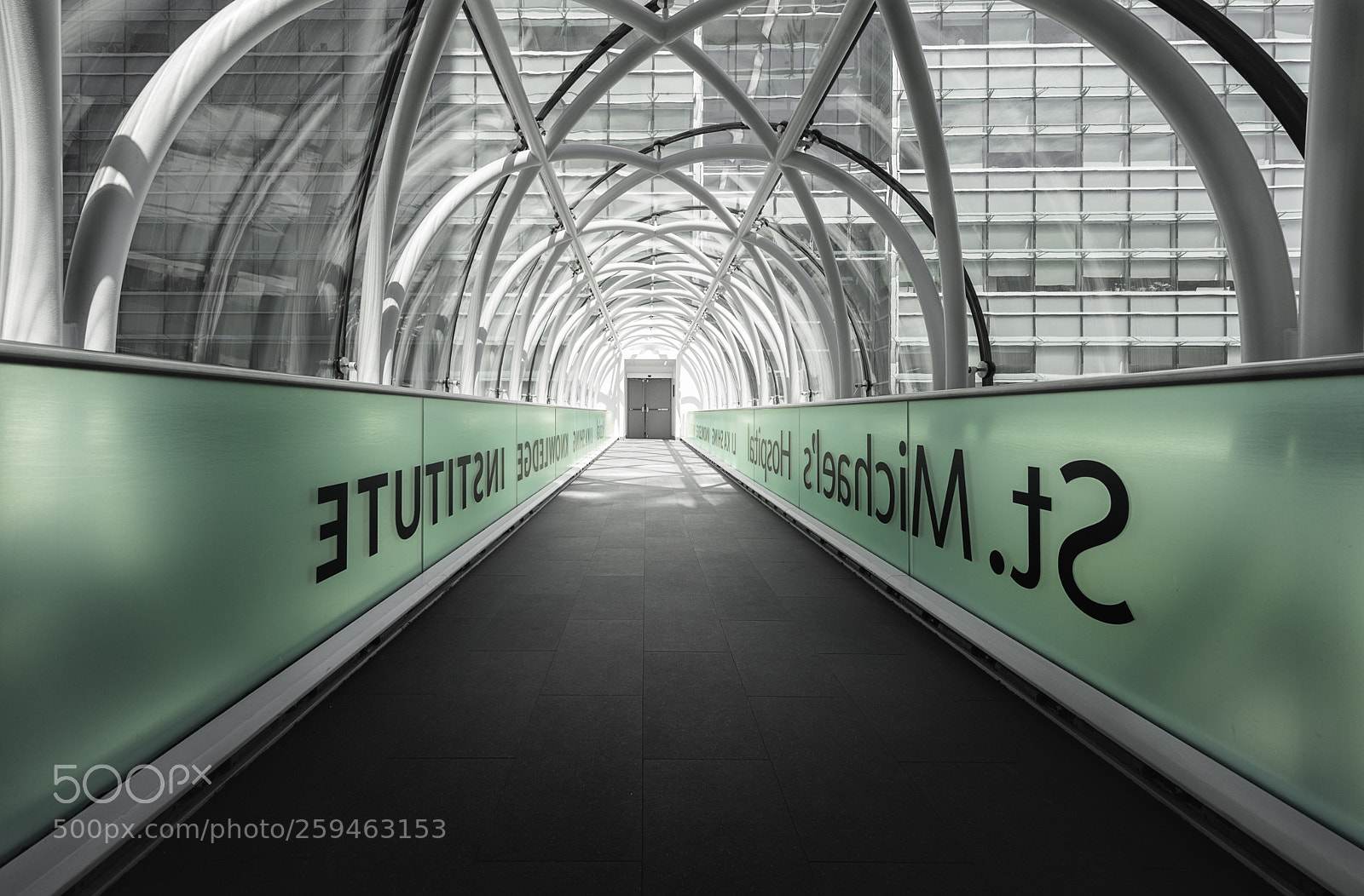 Nikon D610 sample photo. Walkway photography