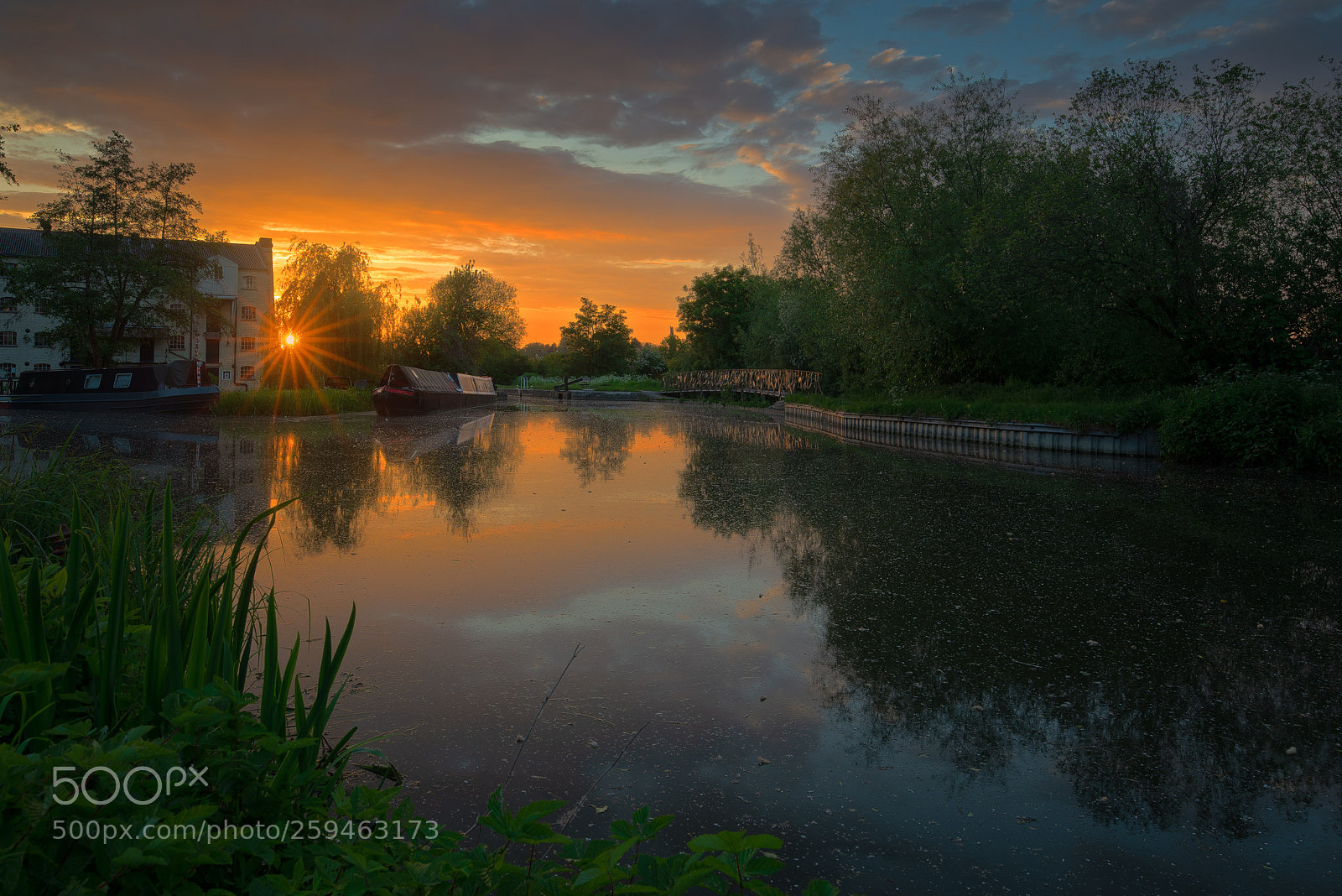 Nikon D600 sample photo. Spring evenings always deliver photography