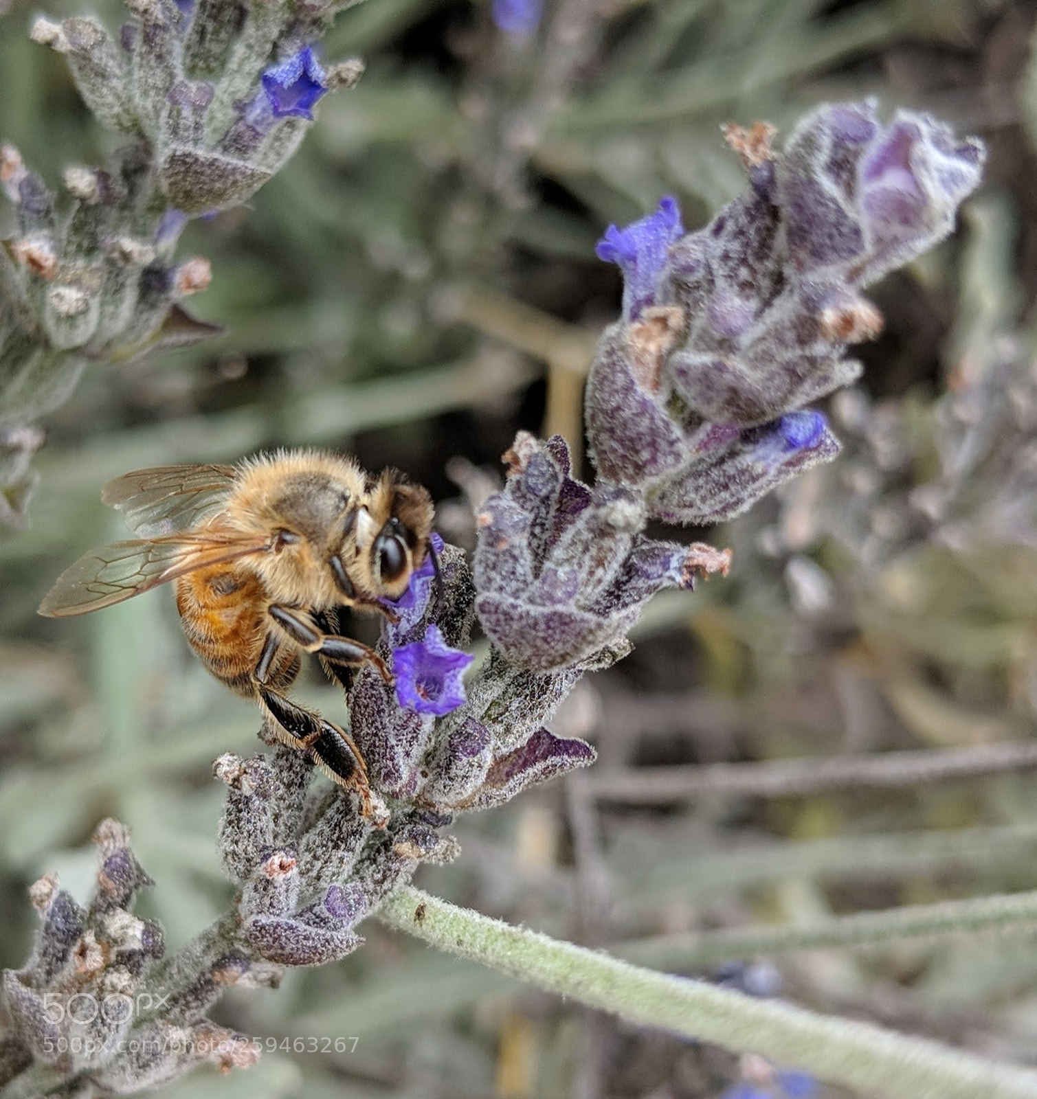 Google Pixel 2 XL sample photo. Untitled photography