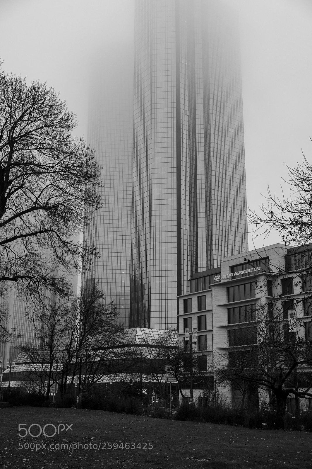 Fujifilm X-T20 sample photo. Foggy bank photography