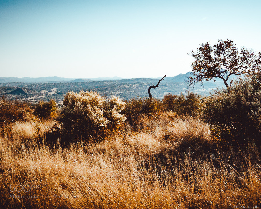 Canon EOS 7D Mark II sample photo. Another namibian landscape photography