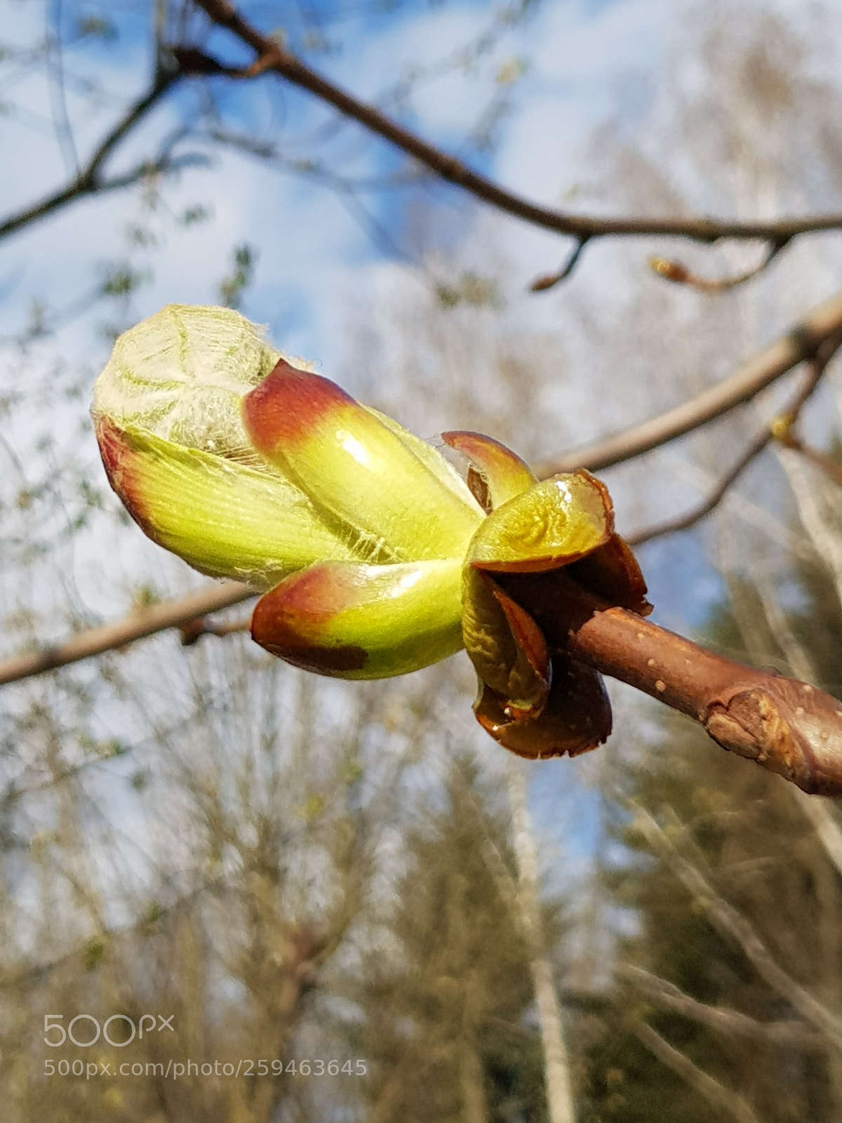 Samsung Galaxy S8+ sample photo. Untitled photography