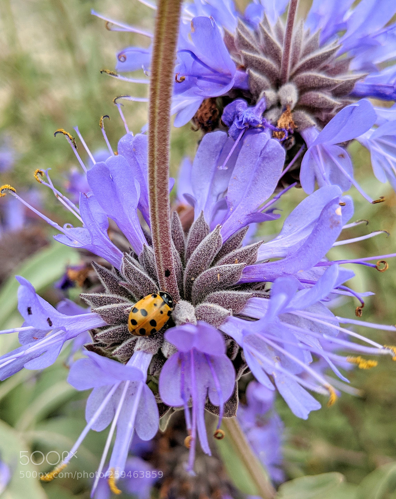 Google Pixel 2 XL sample photo. Untitled photography
