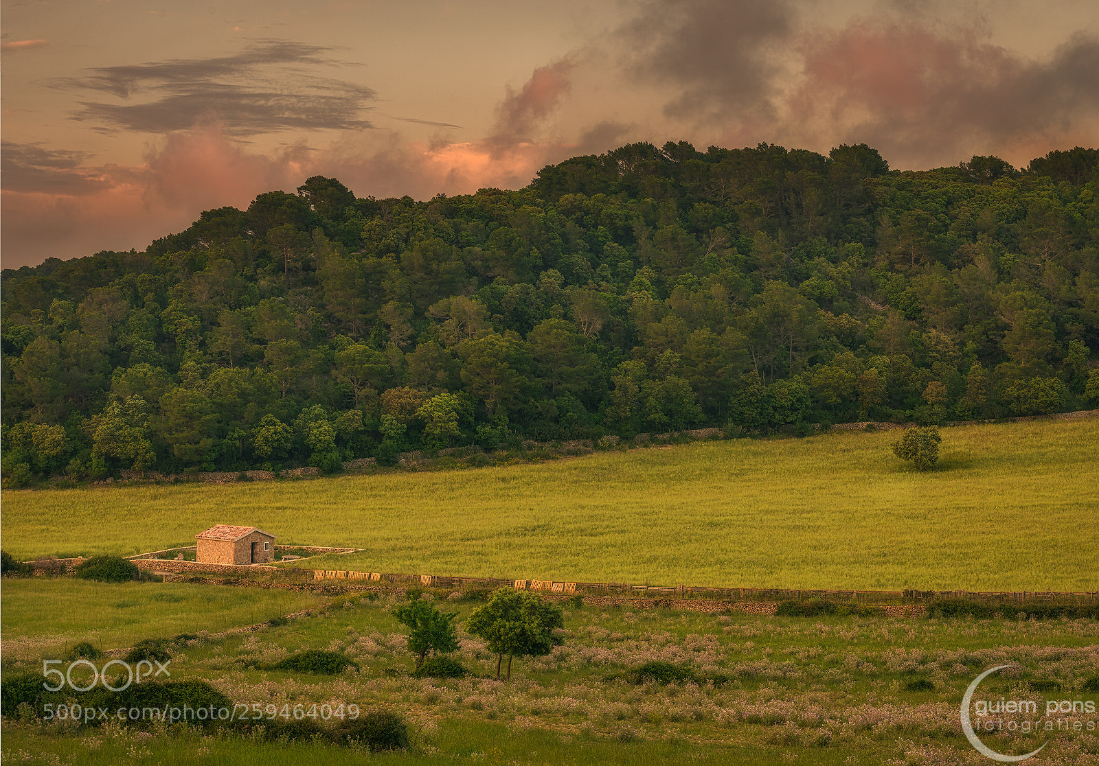 Sony a7R II sample photo. Menoca endins photography