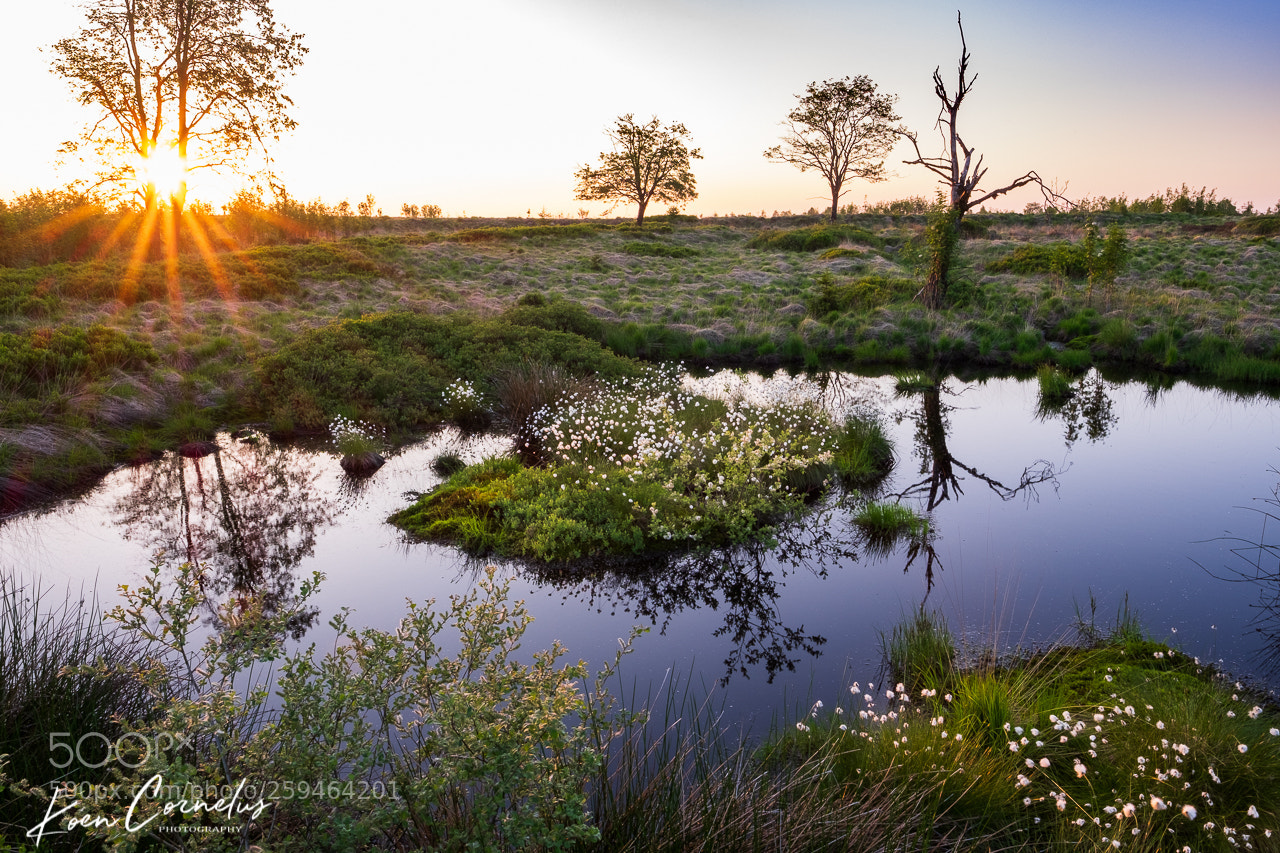 Fujifilm X-T1 sample photo. Hautes fagnes (b) photography