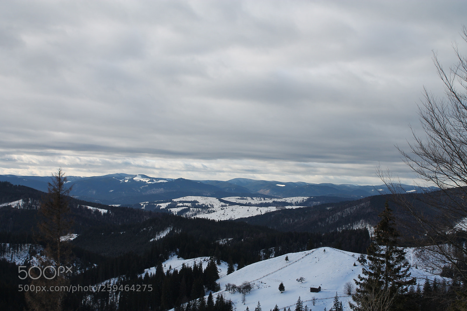 Canon EOS 1100D (EOS Rebel T3 / EOS Kiss X50) sample photo. Romania 2k17 photography