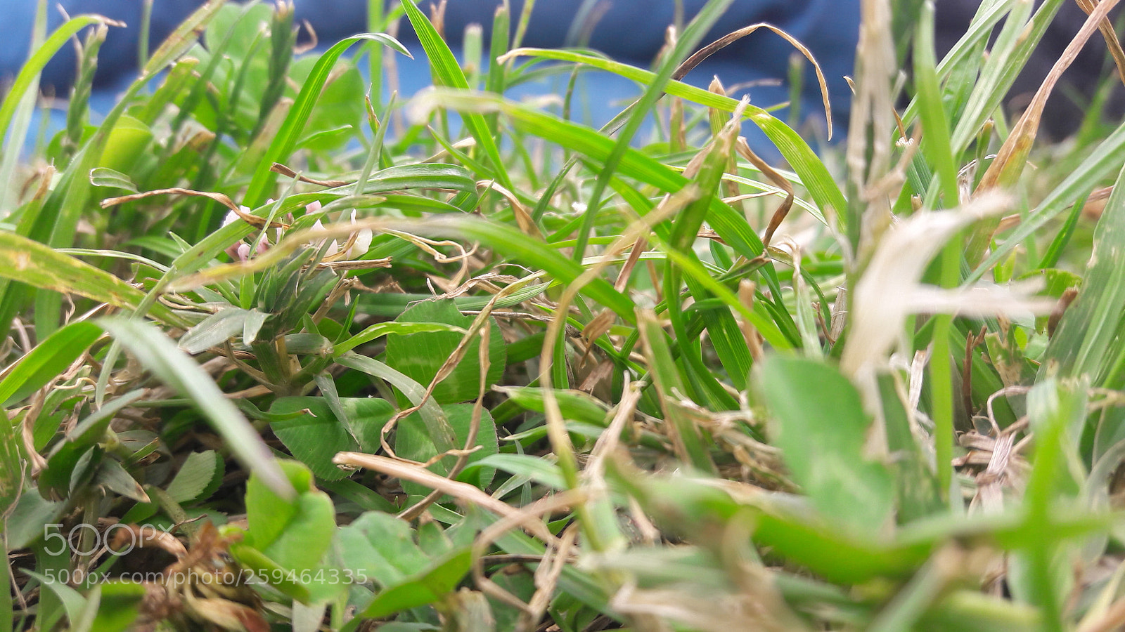 Samsung Galaxy J7 sample photo. 20180523_135005.jpg photography
