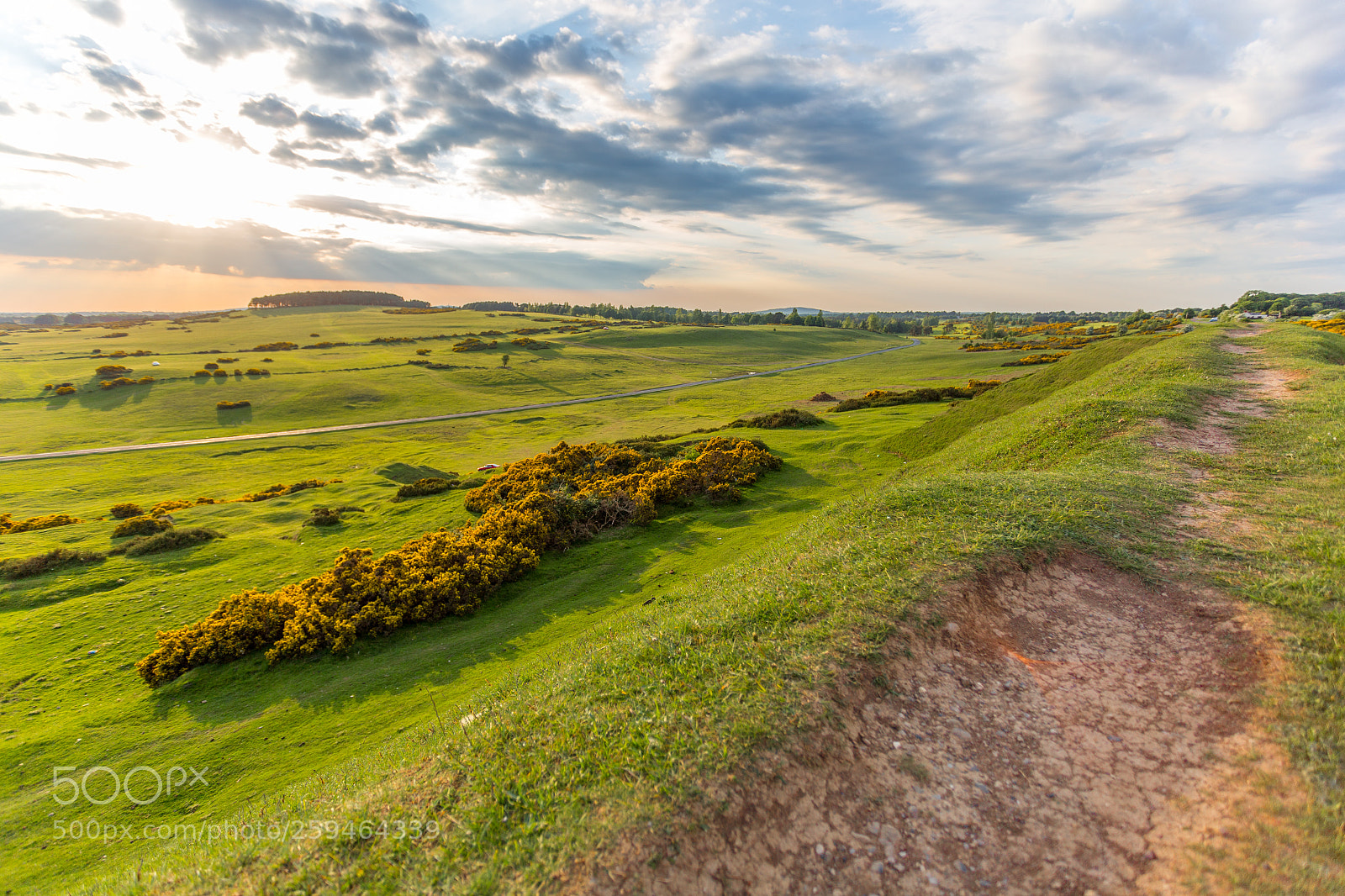 Canon EOS 6D sample photo. The curragh of kildare photography