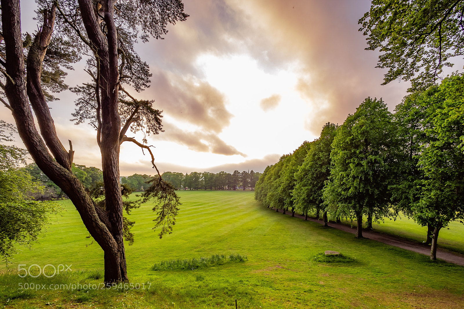Olympus OM-D E-M1 sample photo. Scottish sunset photography
