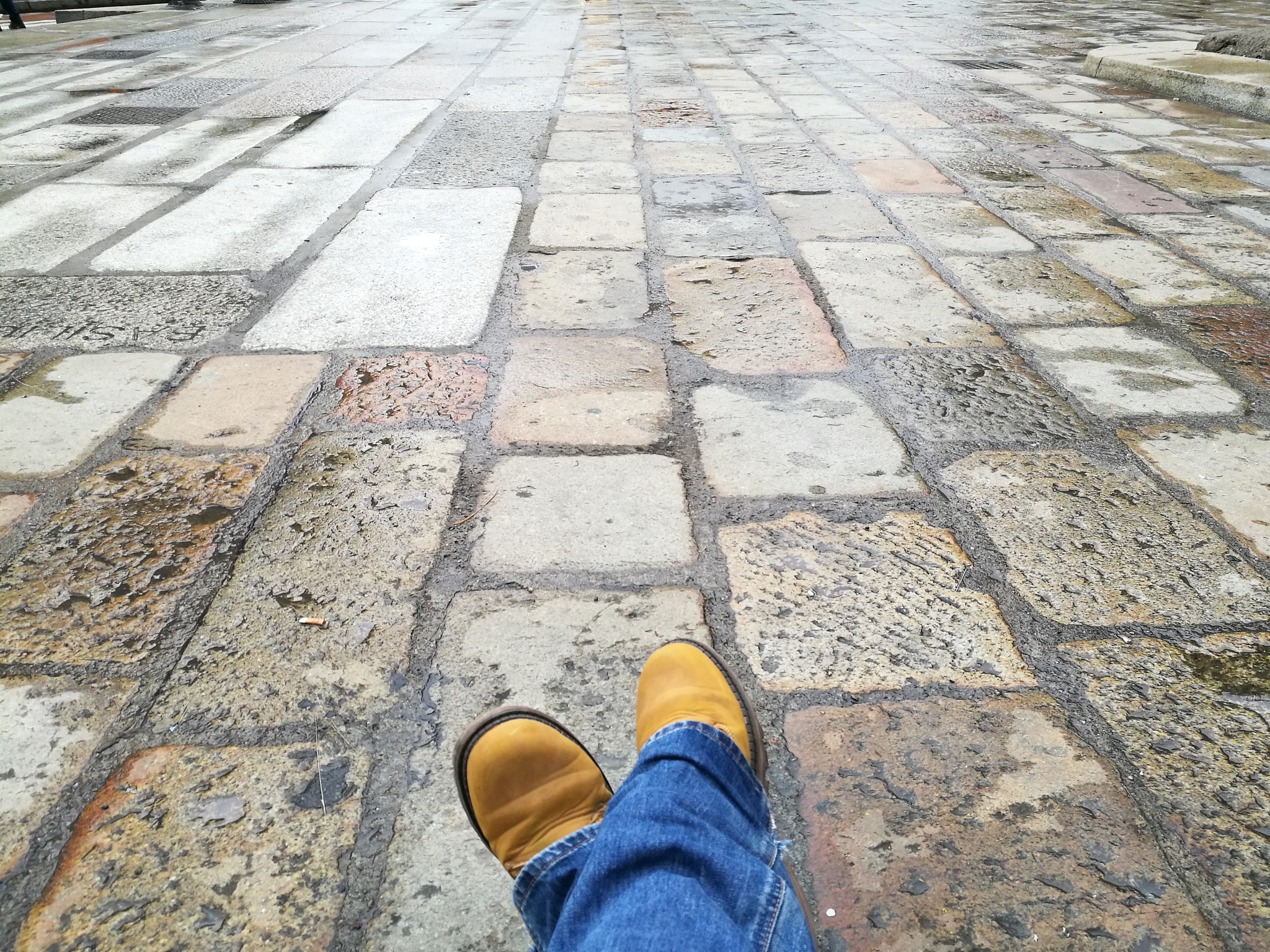 HUAWEI P9 Plus sample photo. Stop dreamin'? photography