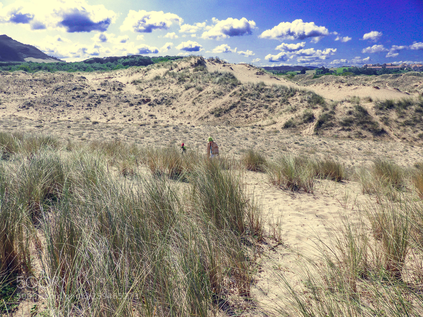 Panasonic Lumix DMC-FZ200 sample photo. Beach photography
