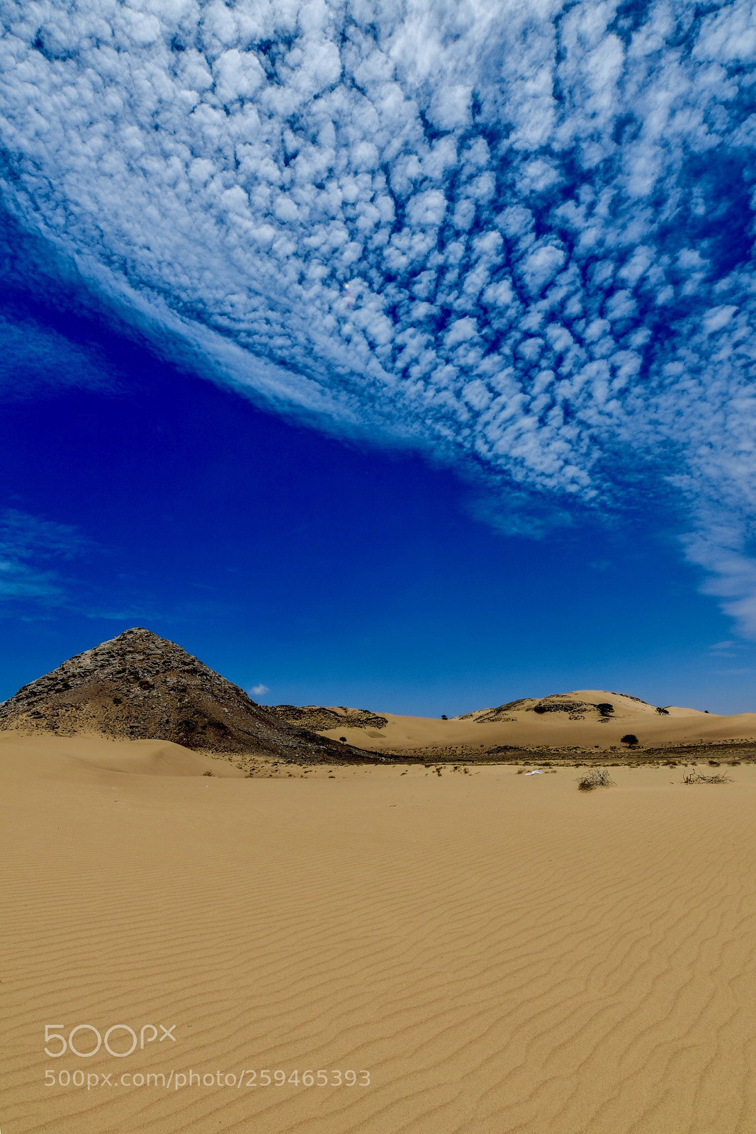 Nikon D850 sample photo. Oman desert  photography