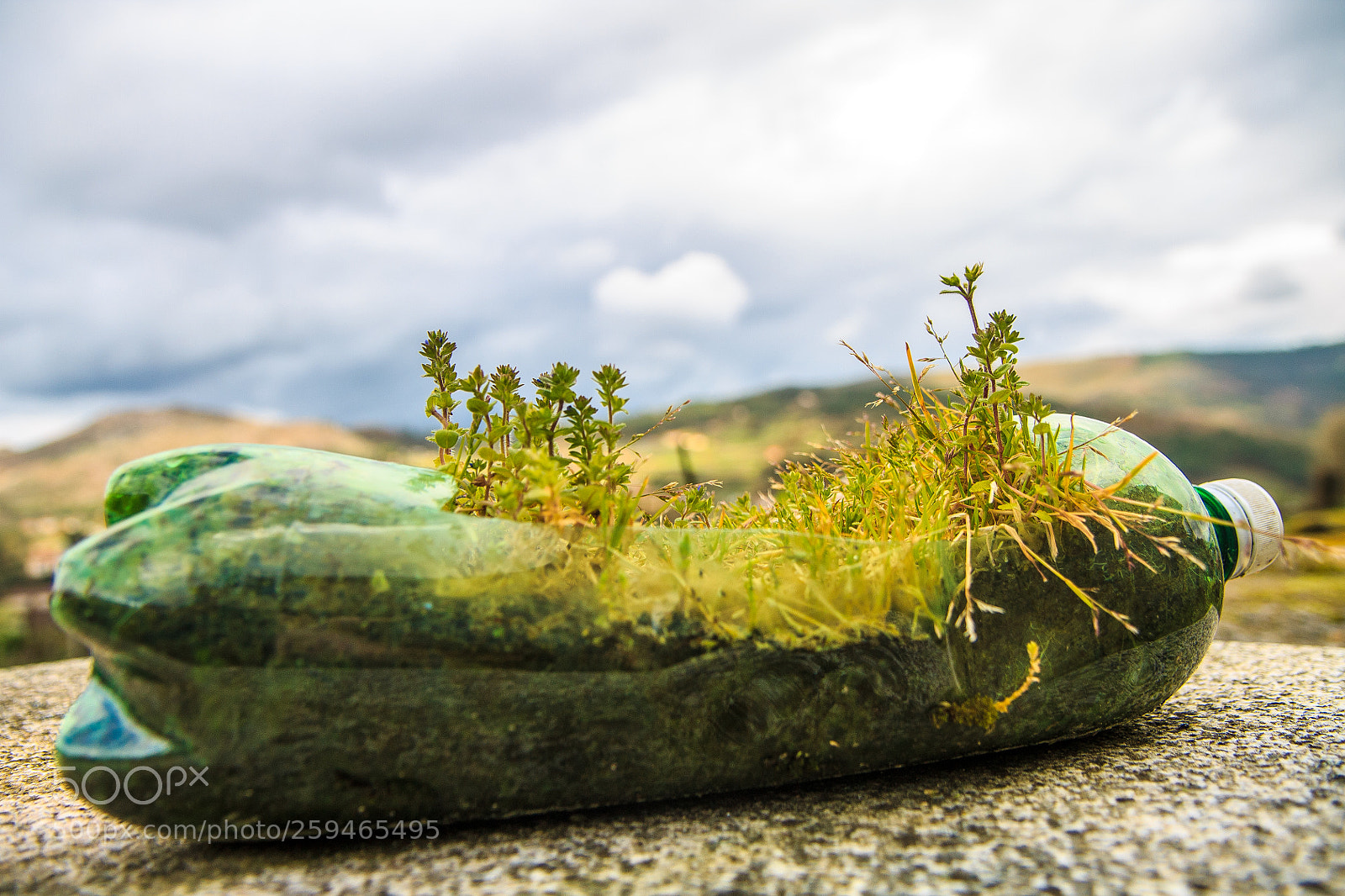 Canon EOS 1100D (EOS Rebel T3 / EOS Kiss X50) sample photo. Nature in a bottle photography
