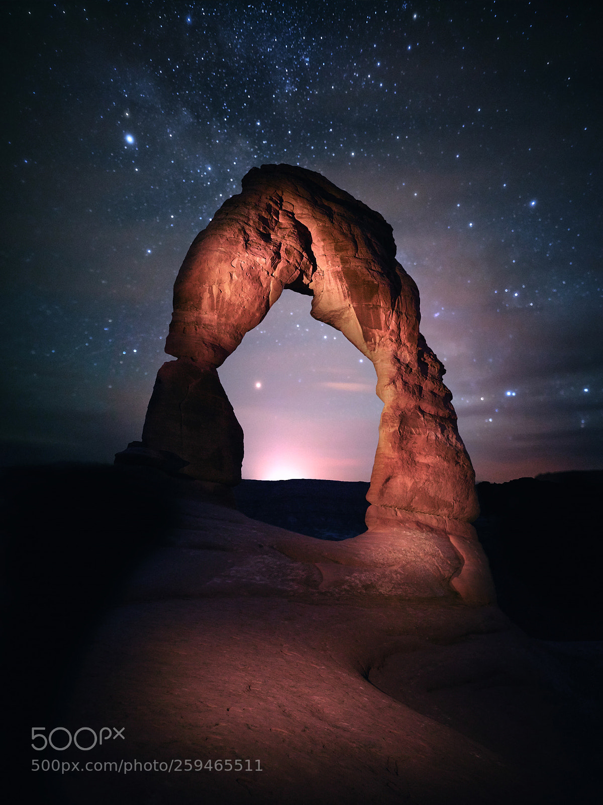 Sony a7R sample photo. Moon rising behind delicate photography