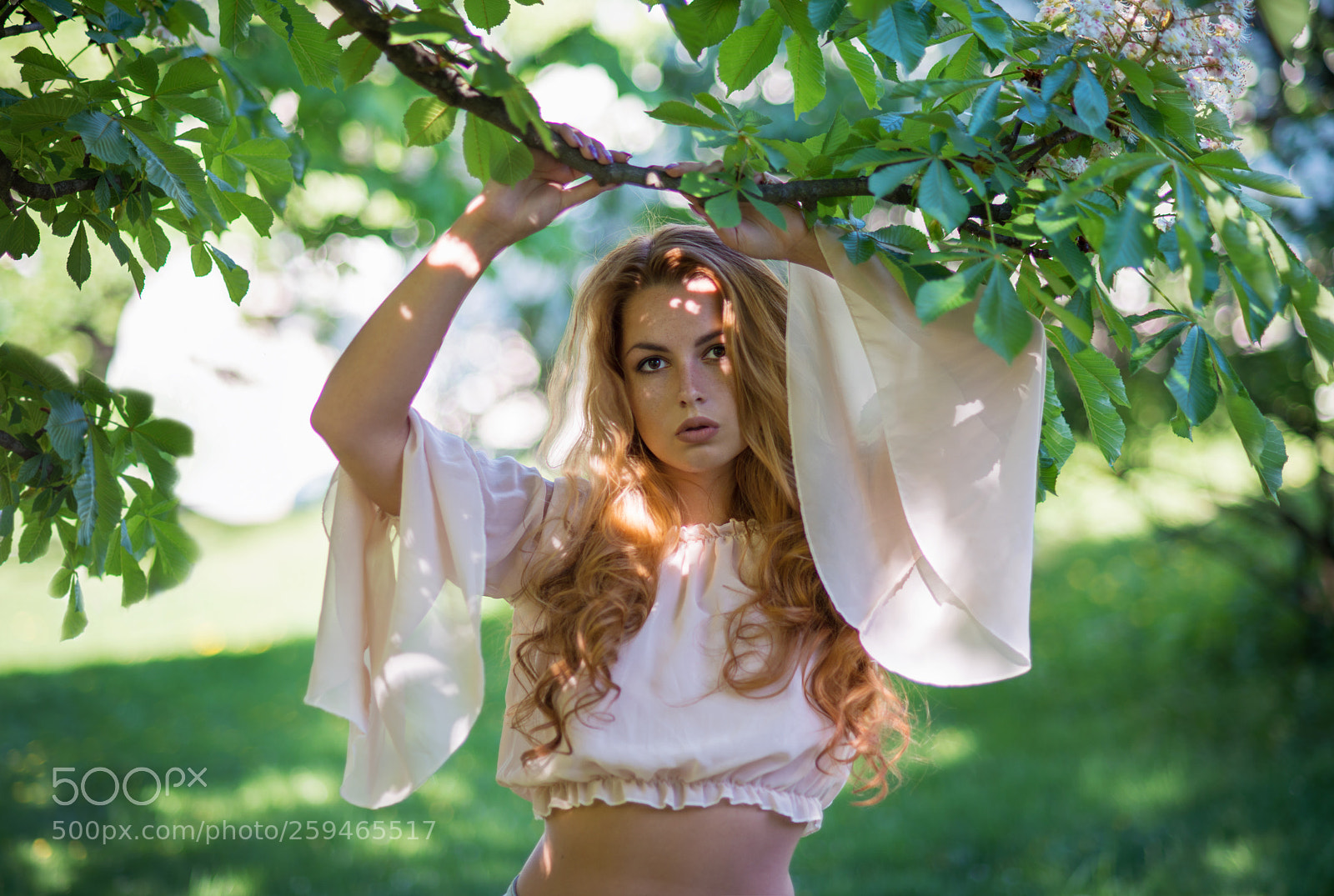 Nikon D800 sample photo. Klára photography