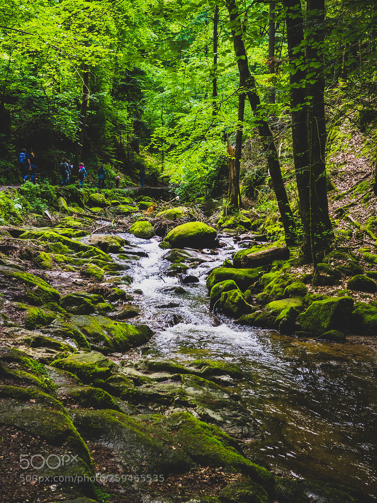 Olympus OM-D E-M1 sample photo. Black forest falls 1 photography