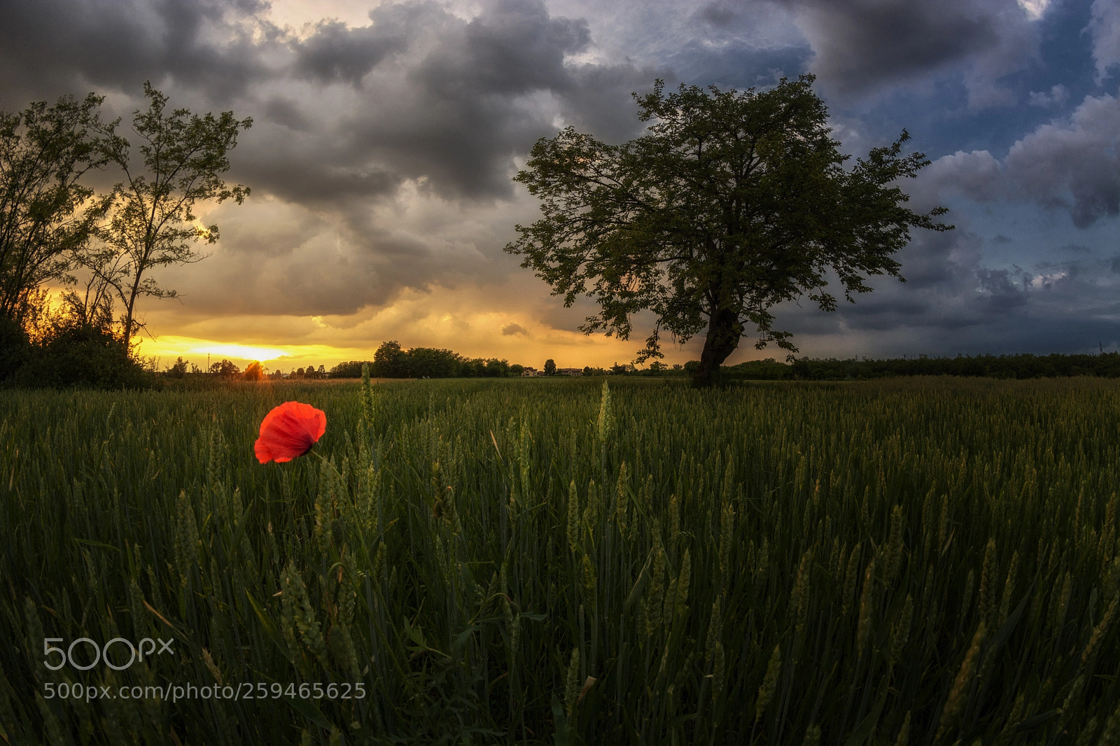 Nikon D7100 sample photo. May sunset photography