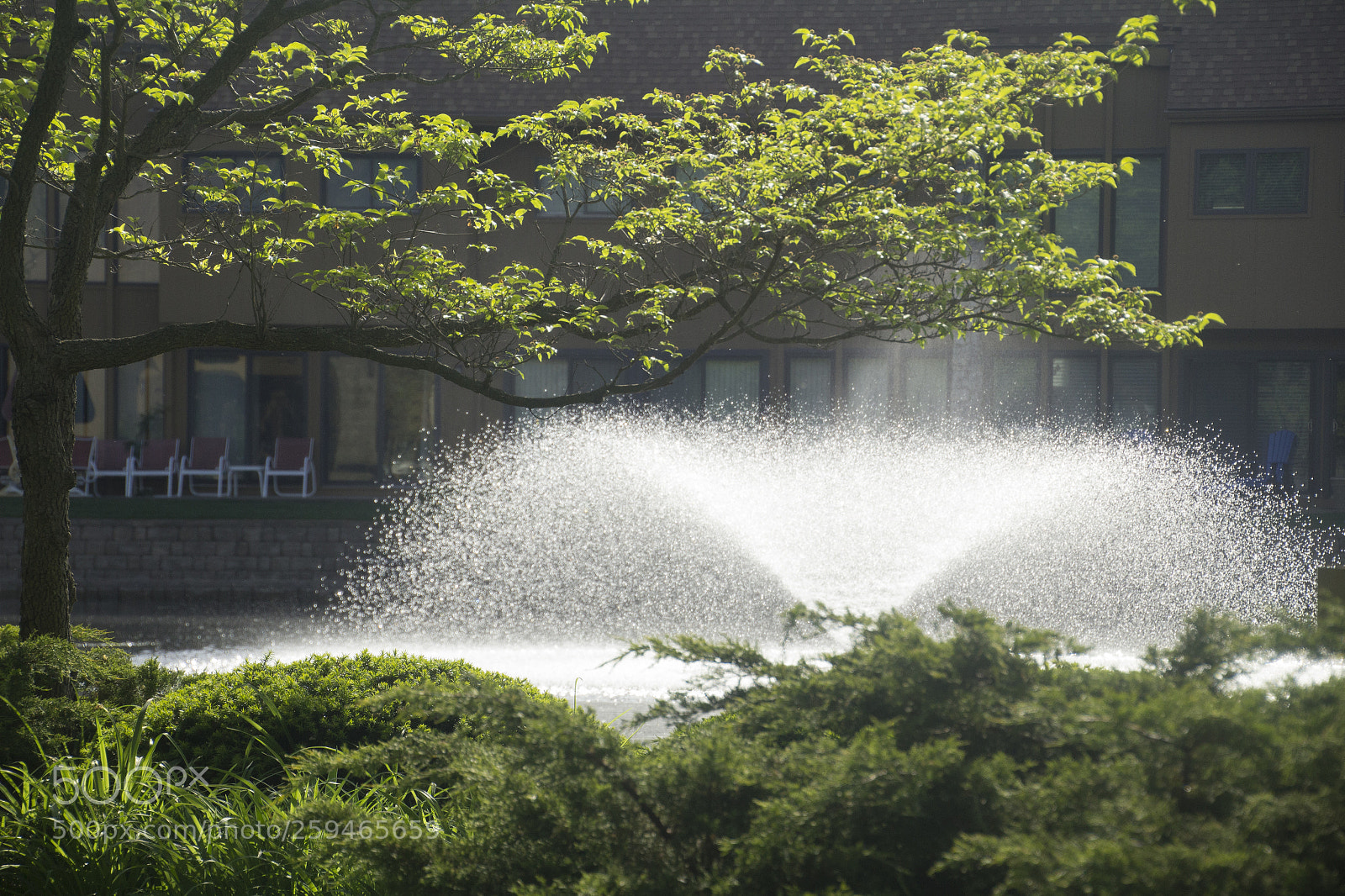 Canon EOS 1200D (EOS Rebel T5 / EOS Kiss X70 / EOS Hi) sample photo. Fountain, branches, and scenery. photography