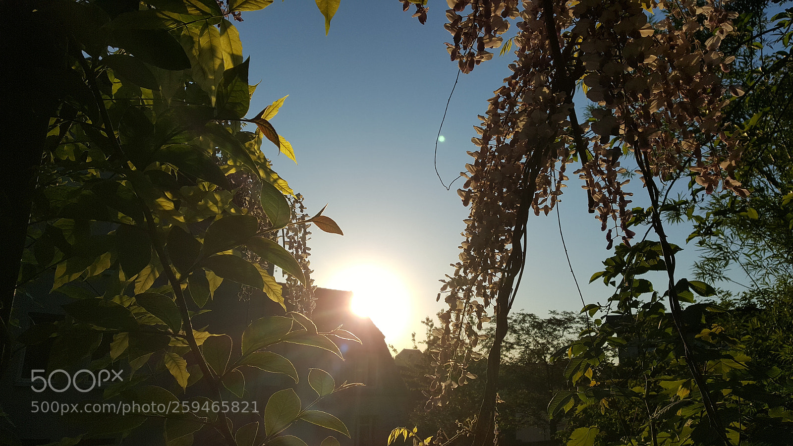 Samsung Galaxy S6 sample photo. Untitled photography