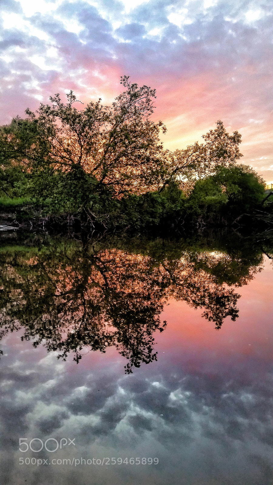 Samsung Galaxy S5 sample photo. The river photography