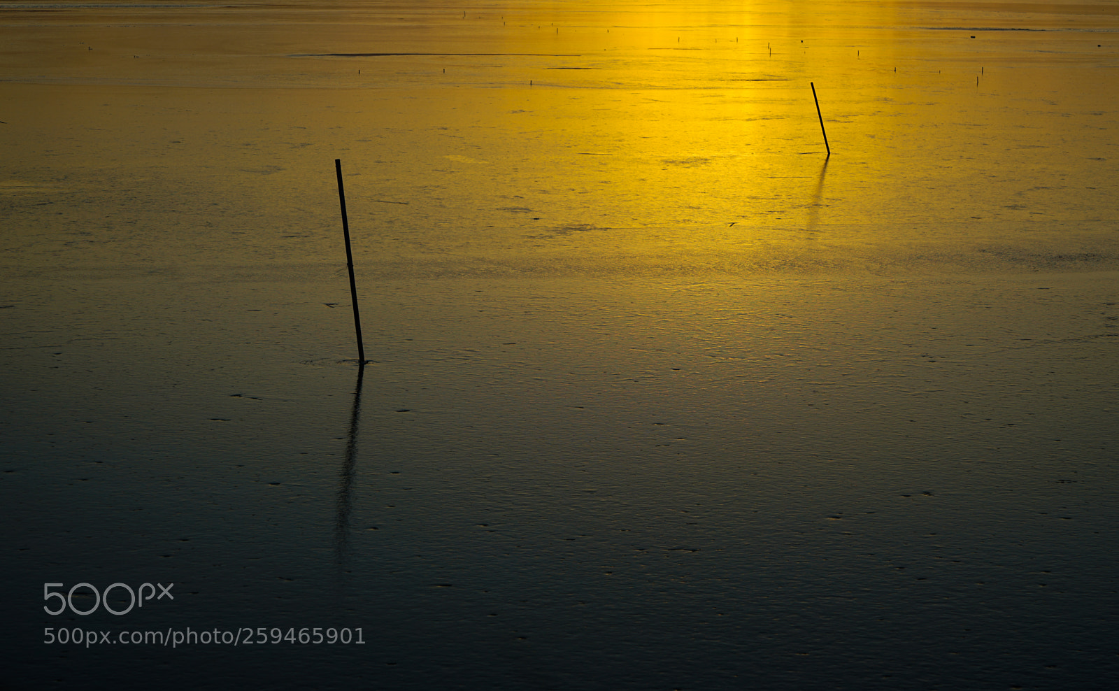 Sony a7 II sample photo. Dsc photography