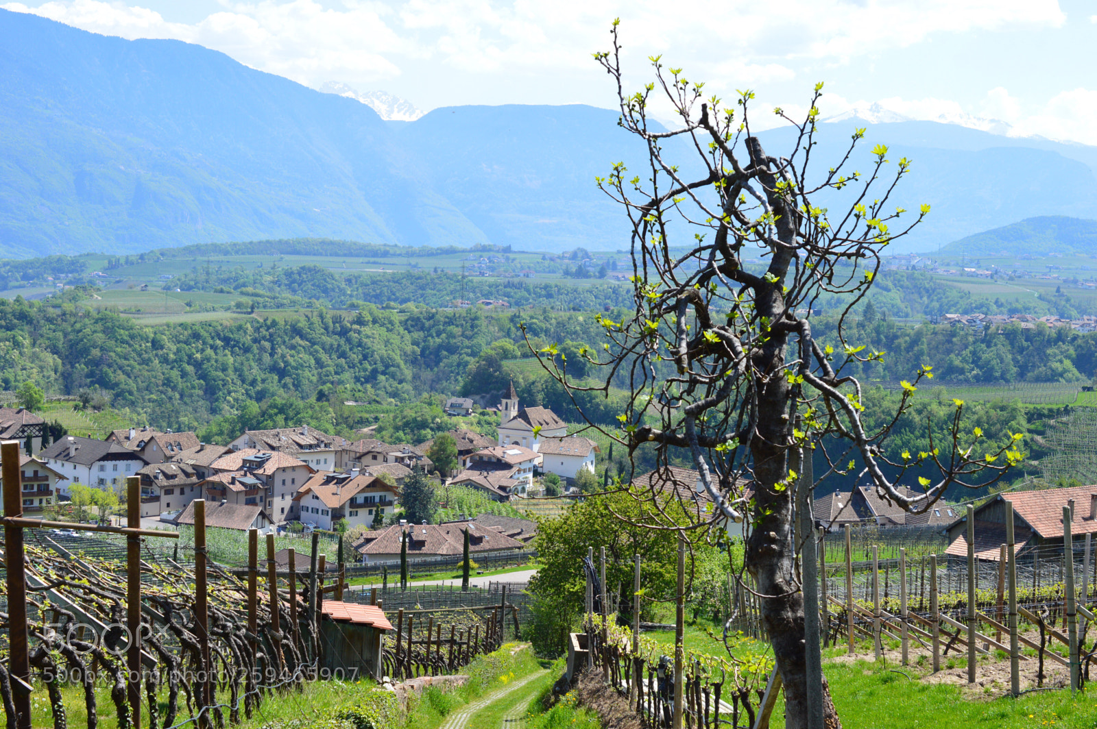 Nikon D3200 sample photo. Happy day photography