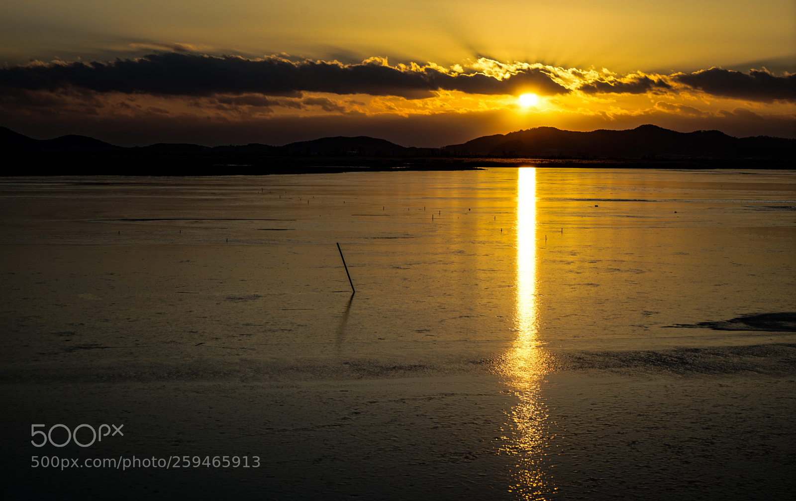 Sony a7 II sample photo. Dsc photography