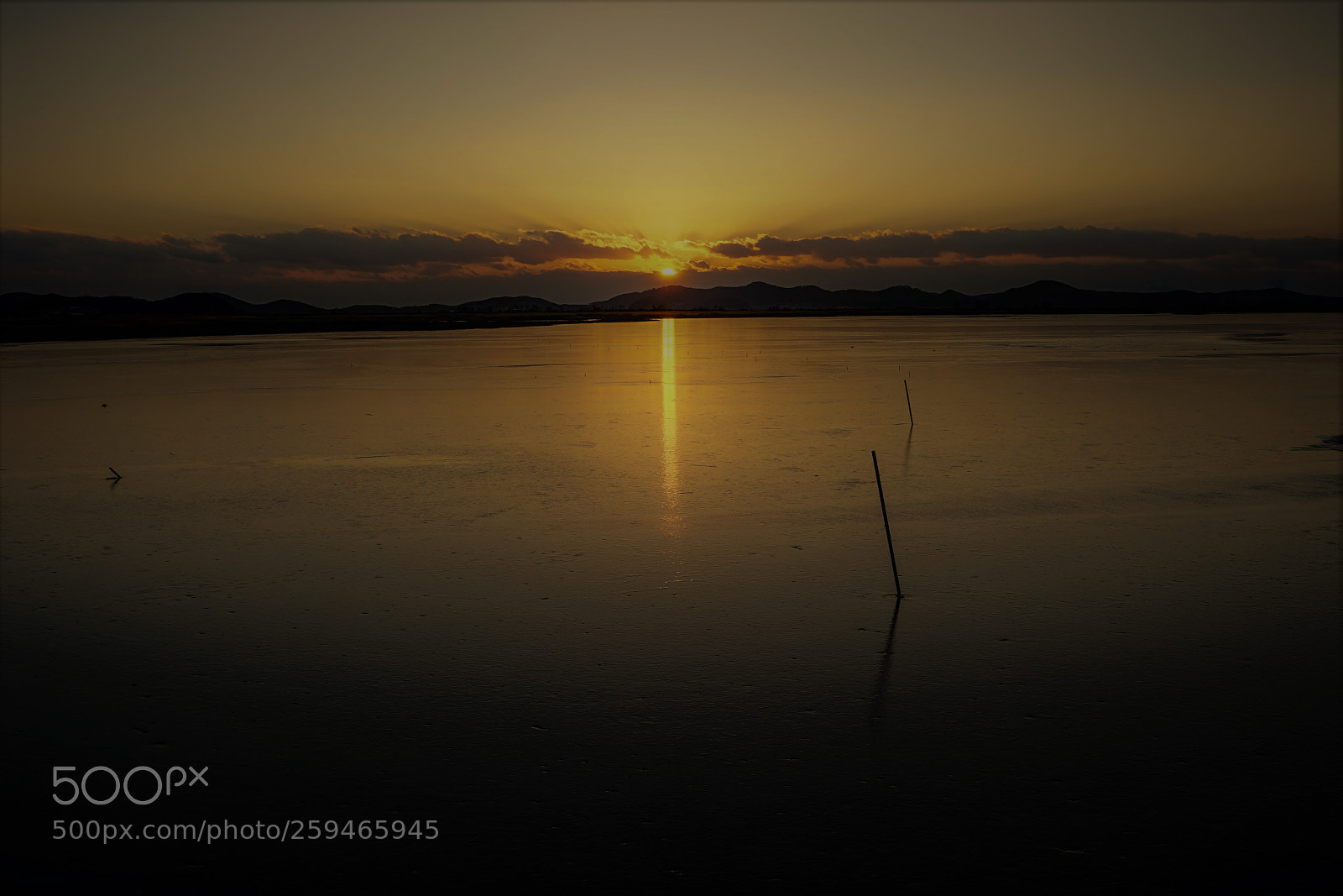 Sony a7 II sample photo. Dsc photography