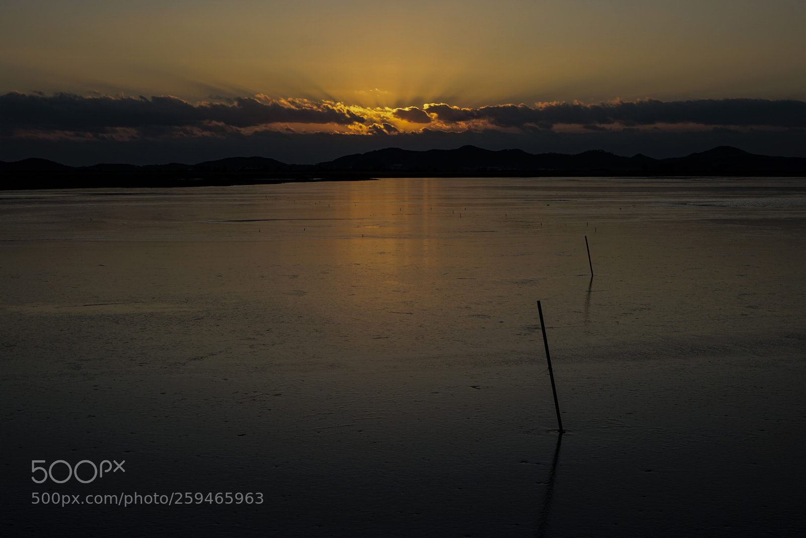 Sony a7 II sample photo. Dsc photography