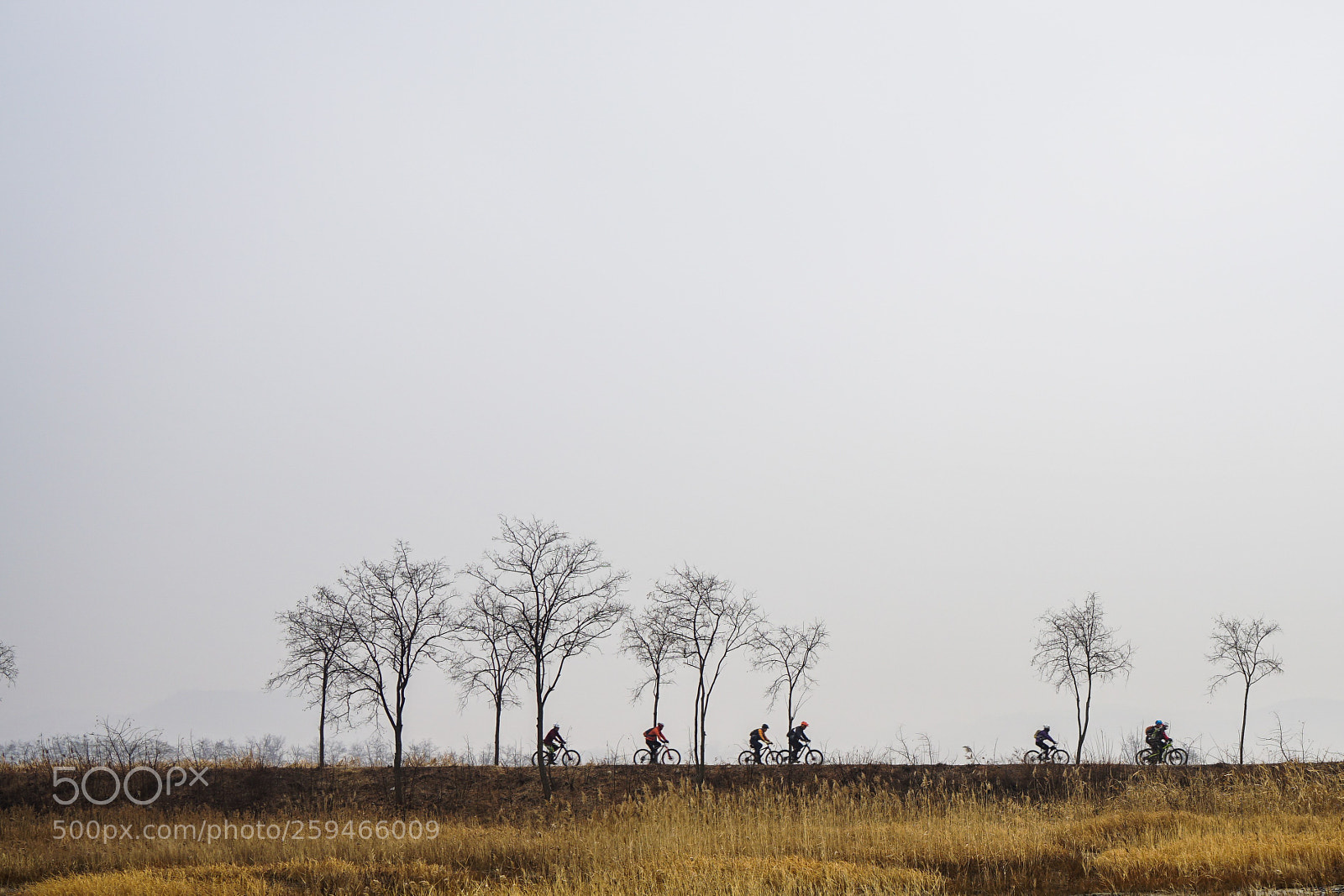 Sony a7 II sample photo. Dsc photography
