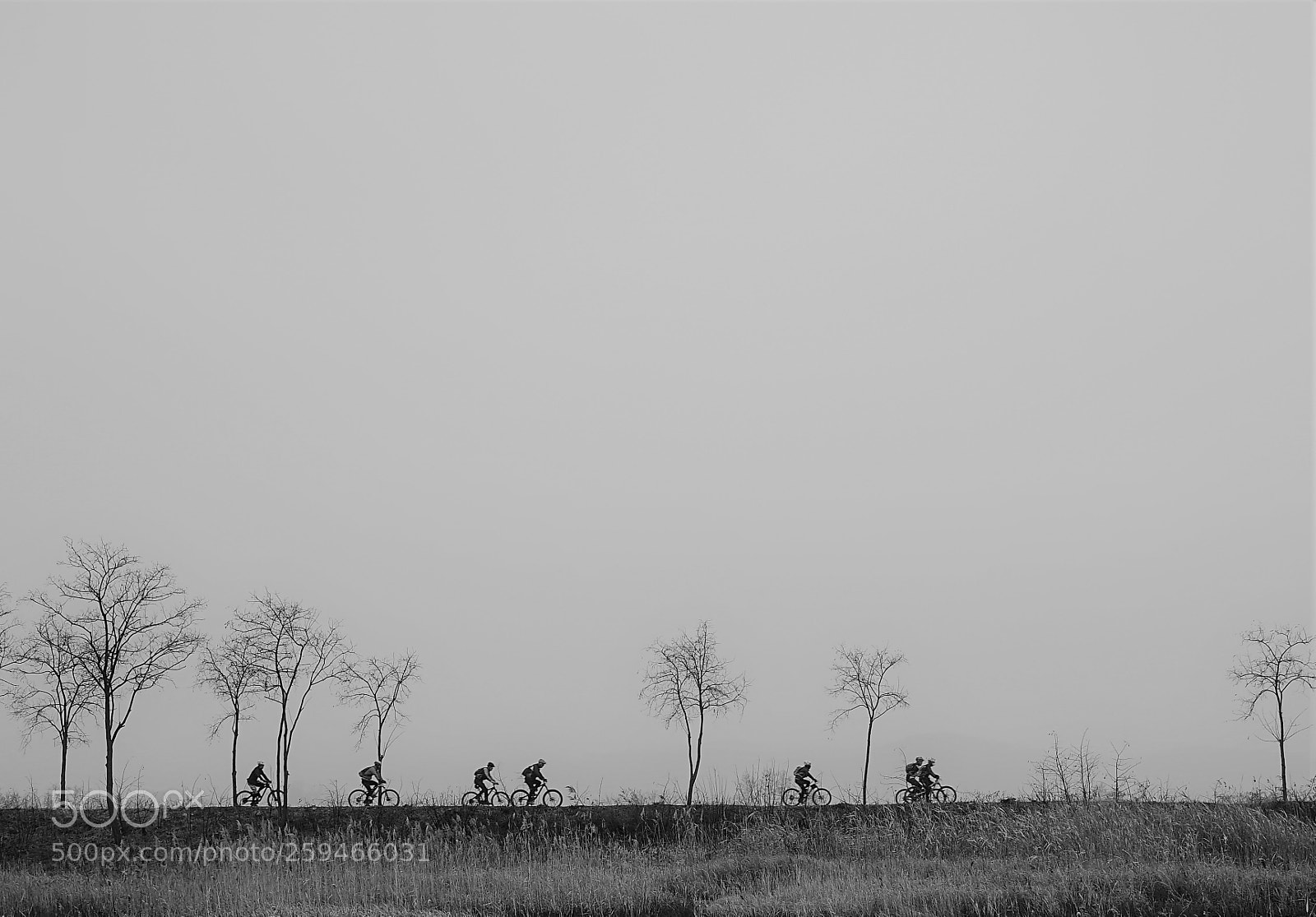 Sony a7 II sample photo. Dsc photography