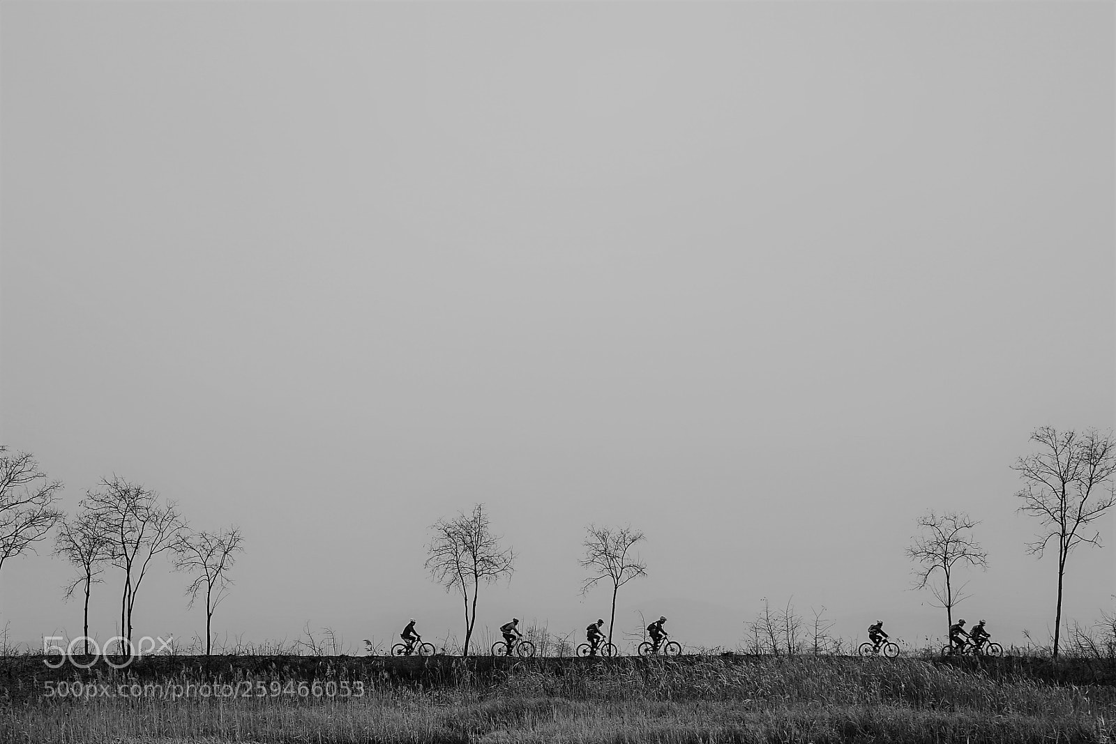 Sony a7 II sample photo. Dsc photography