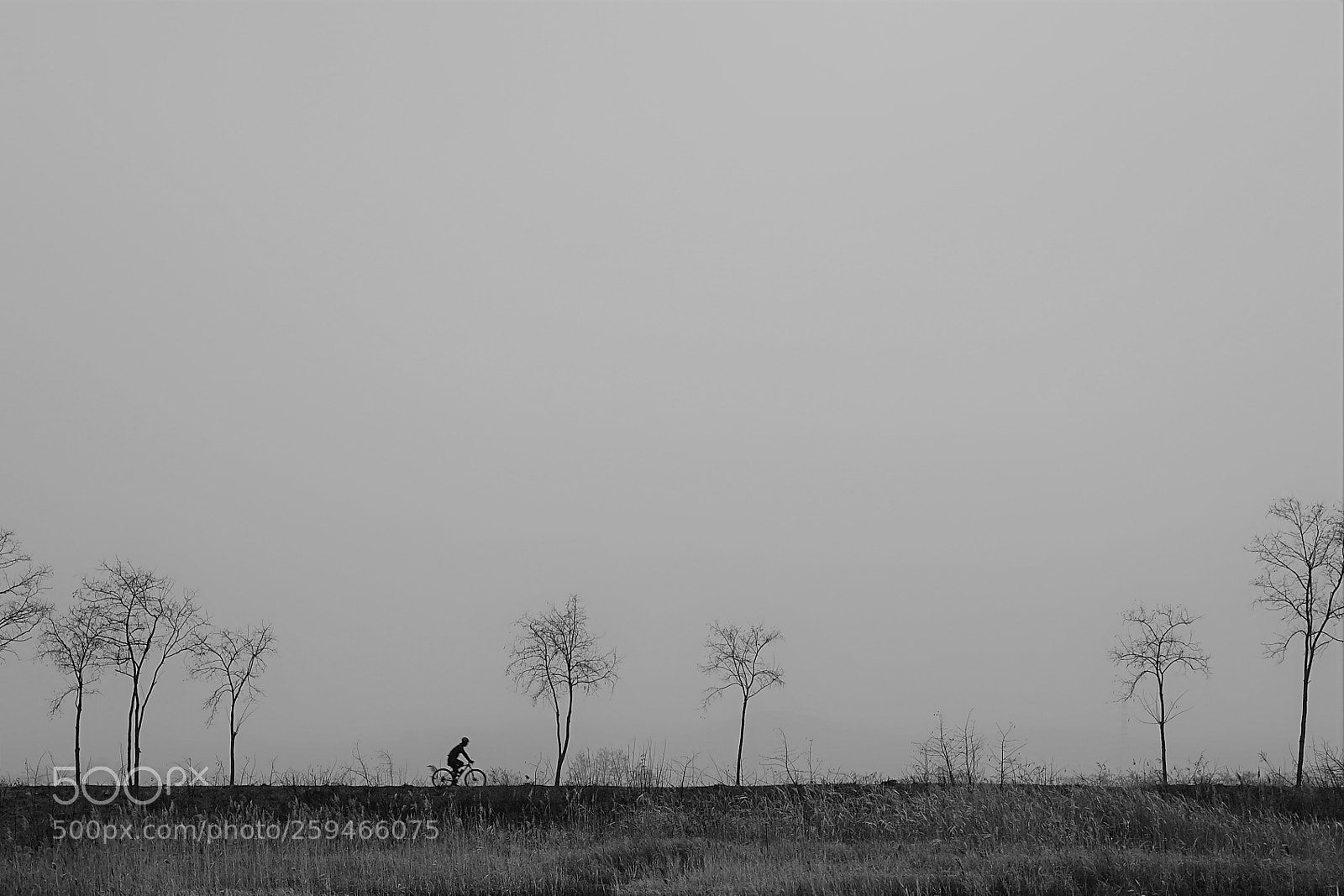 Sony a7 II sample photo. Dsc photography
