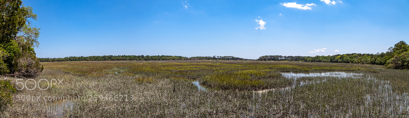 Canon EOS 5D Mark II sample photo. Marshland photography