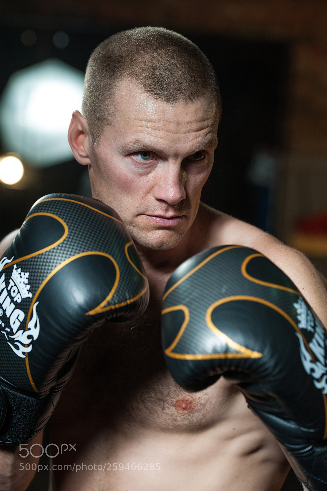 Nikon D700 sample photo. Boxer photography