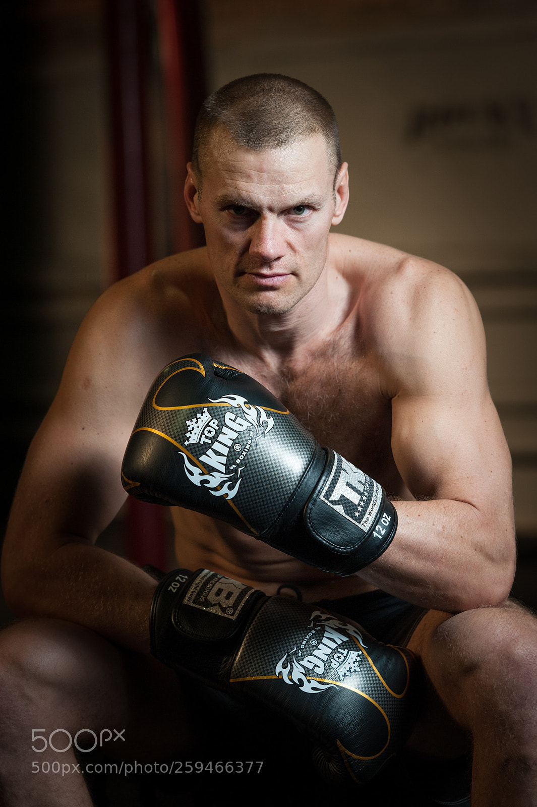 Nikon D700 sample photo. Boxer photography