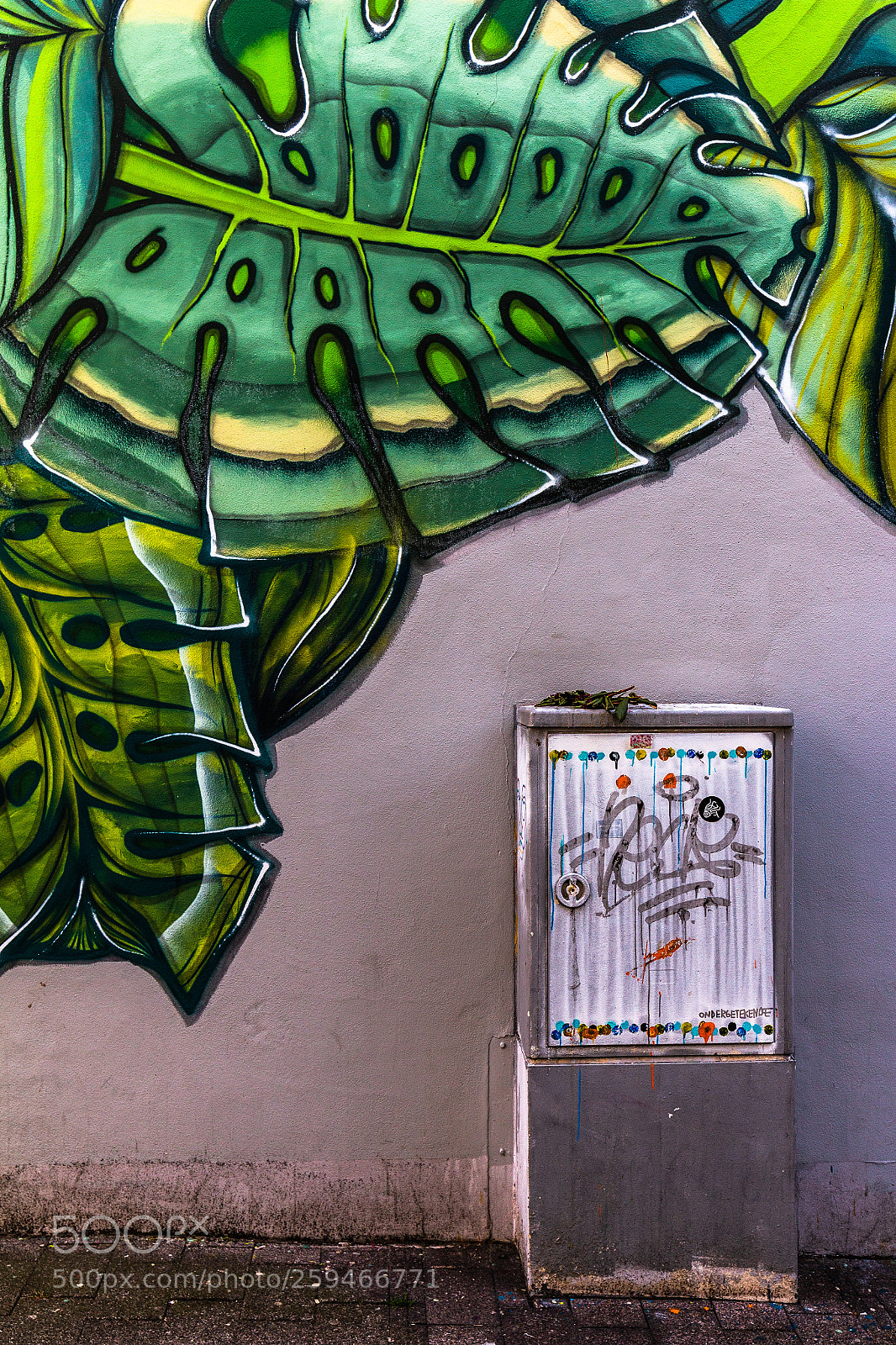 Canon EOS 70D sample photo. Ondergetekende photography