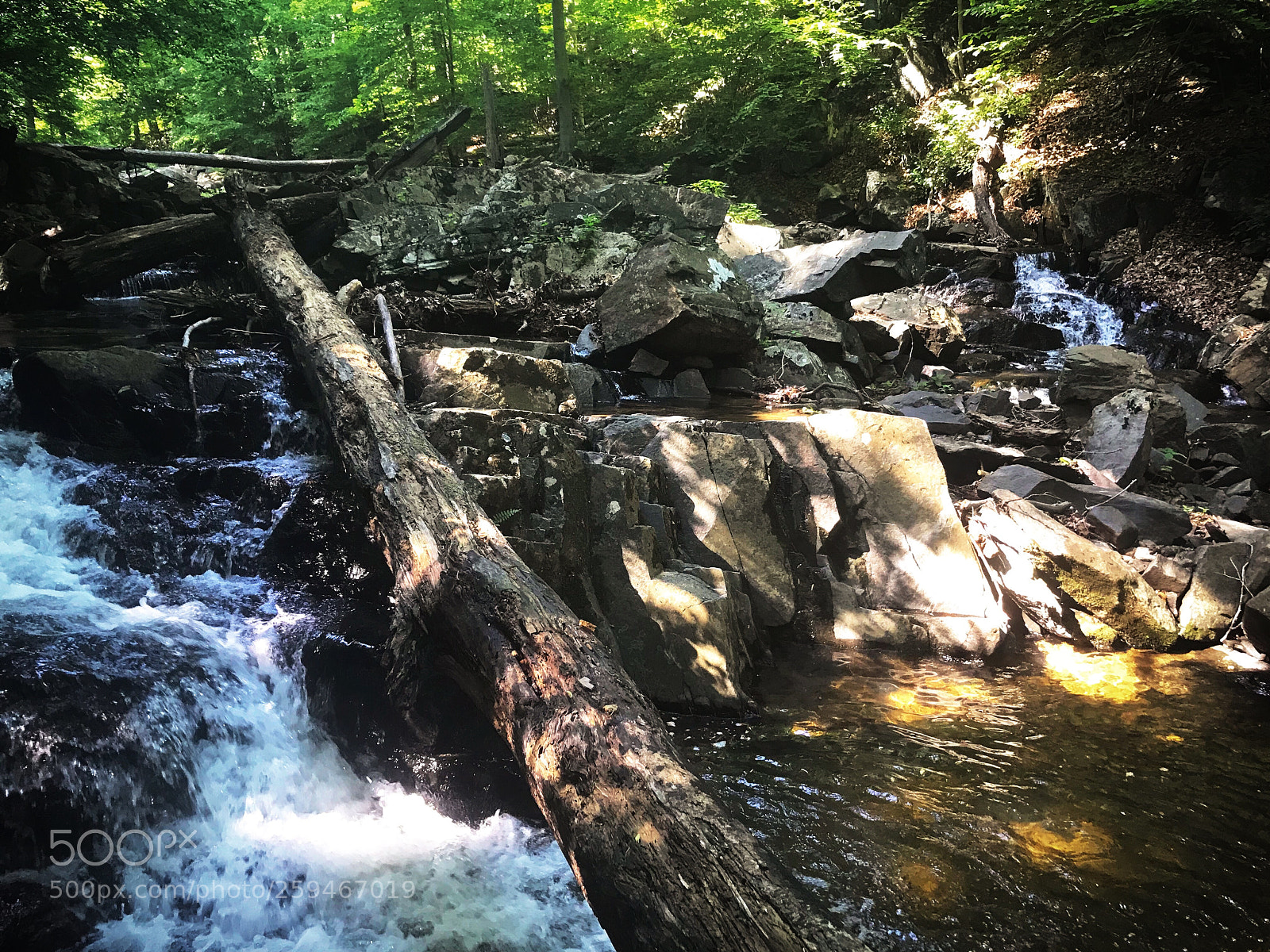 Apple iPhone 7 sample photo. Gunpowder photography