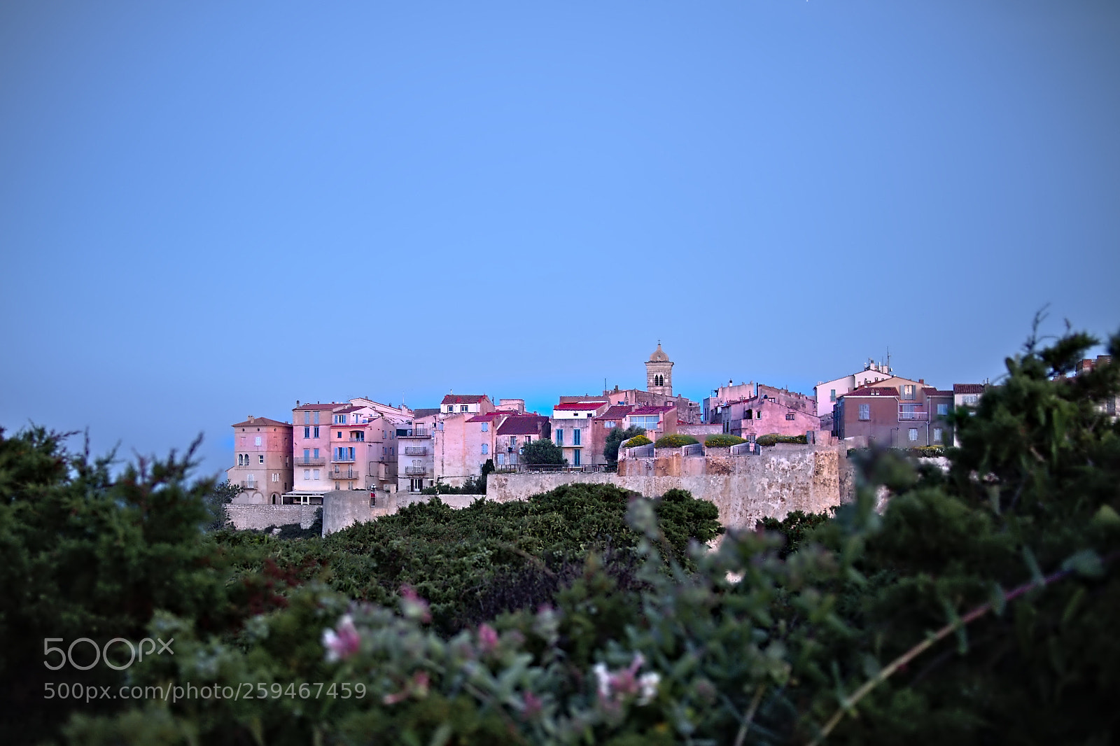Olympus OM-D E-M5 II sample photo. Bonifacio photography