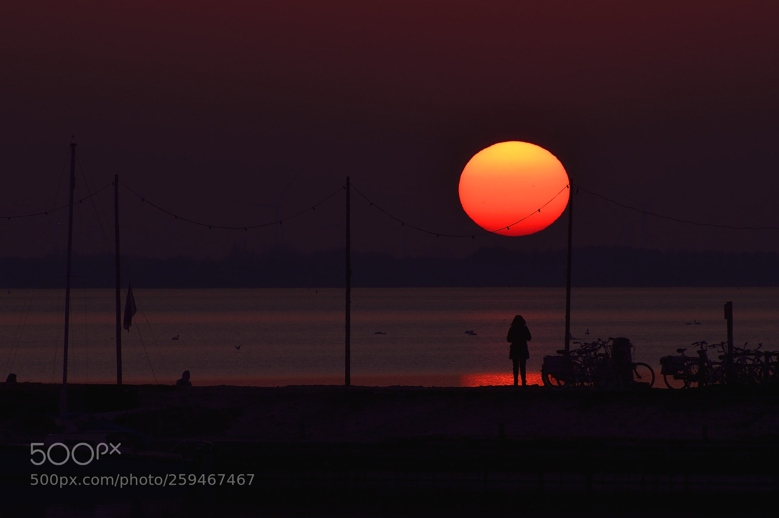 Nikon D3200 sample photo. Sunset harderwijk photography