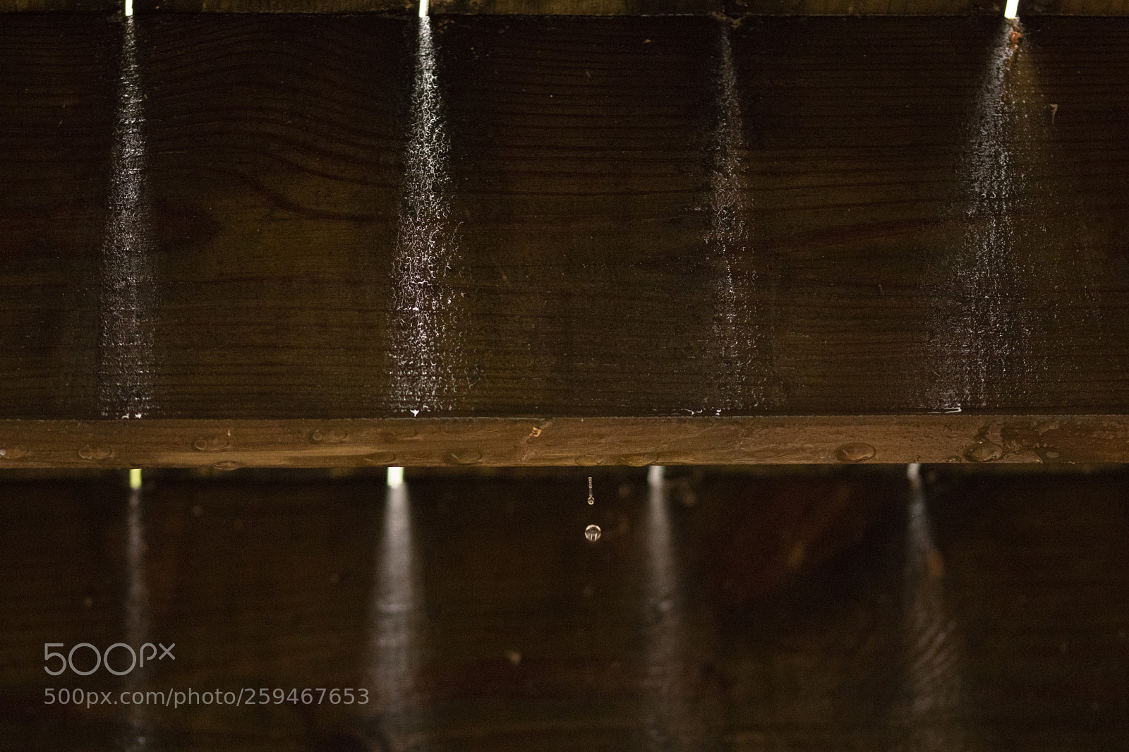 Canon EOS 77D (EOS 9000D / EOS 770D) sample photo. Water drop photography