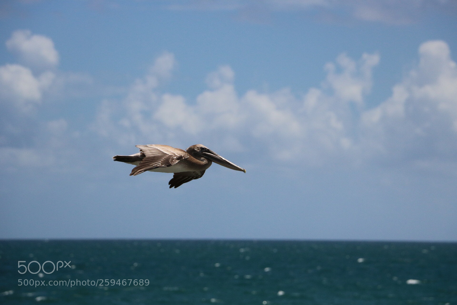 Canon EOS 750D (EOS Rebel T6i / EOS Kiss X8i) sample photo. Plane photography